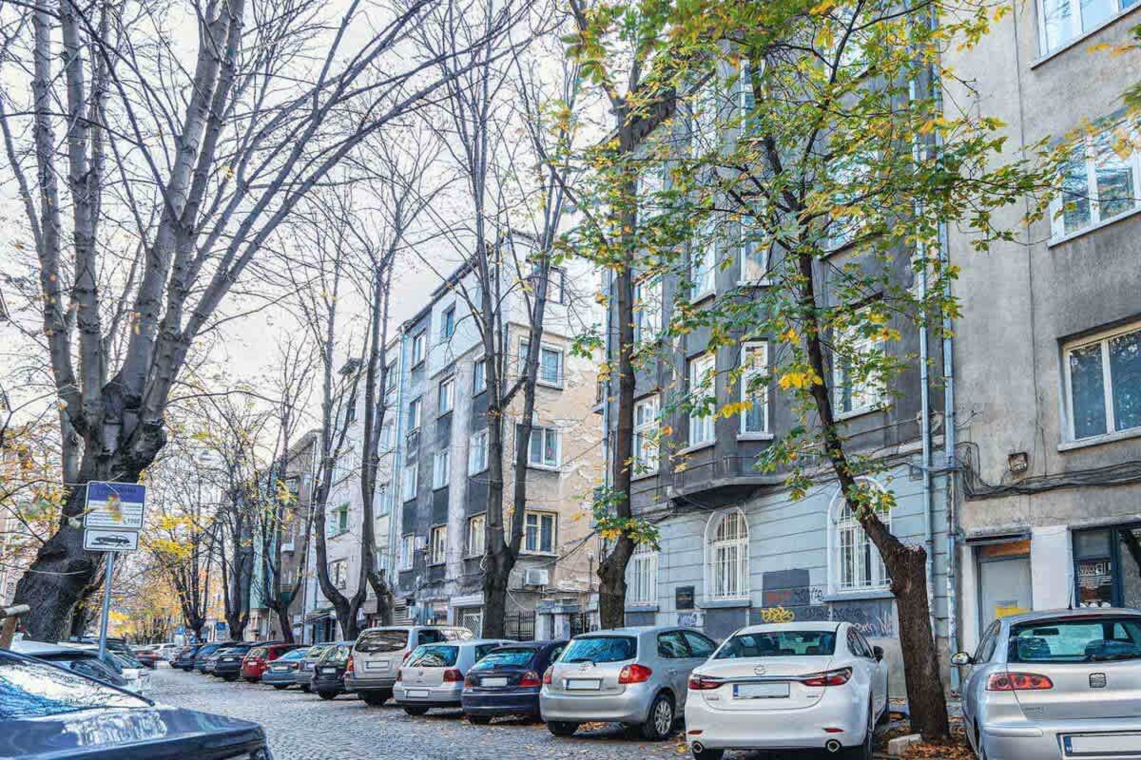 Scoutaround White Logo