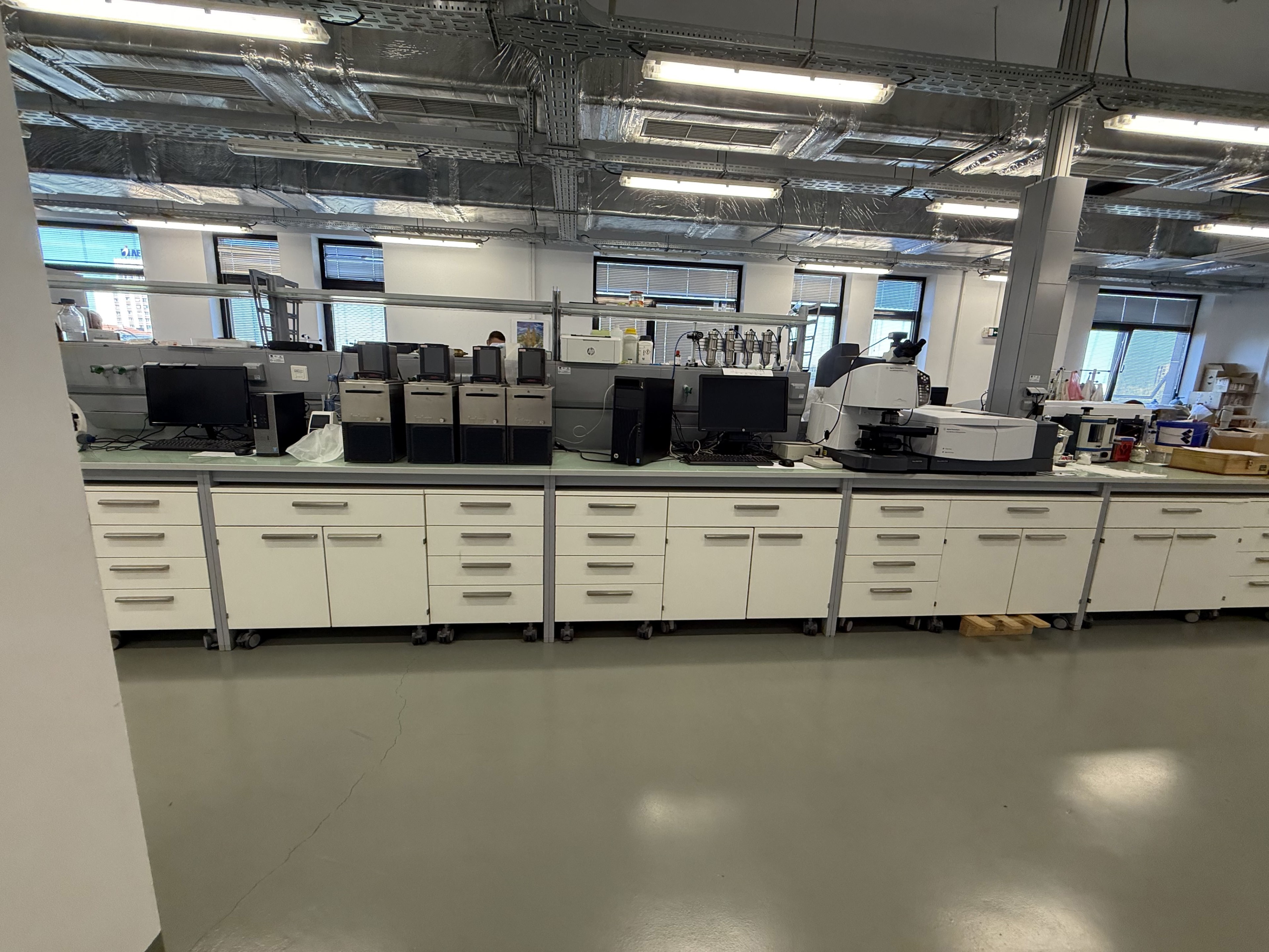 Scoutaround White Logo