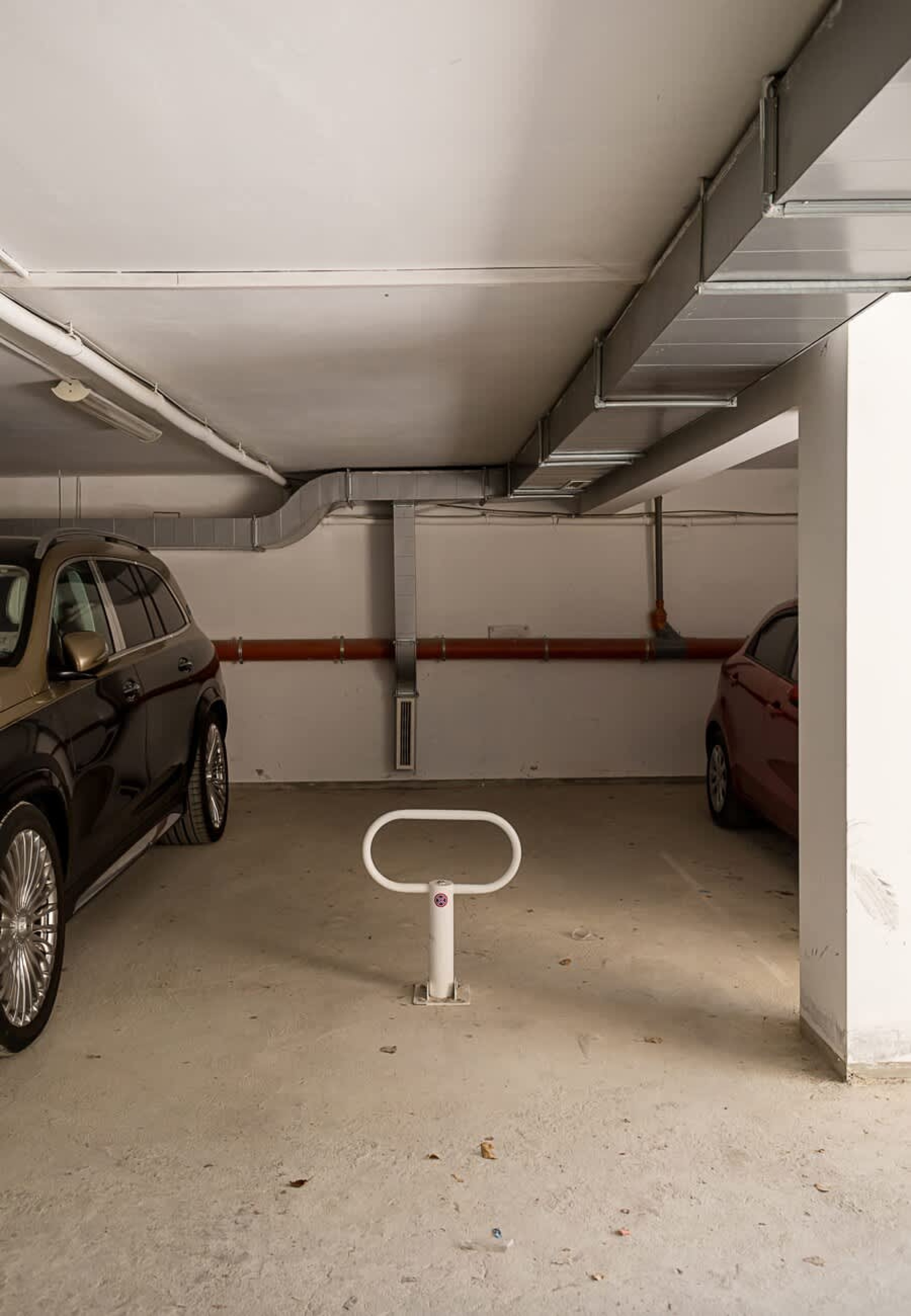 Scoutaround White Logo