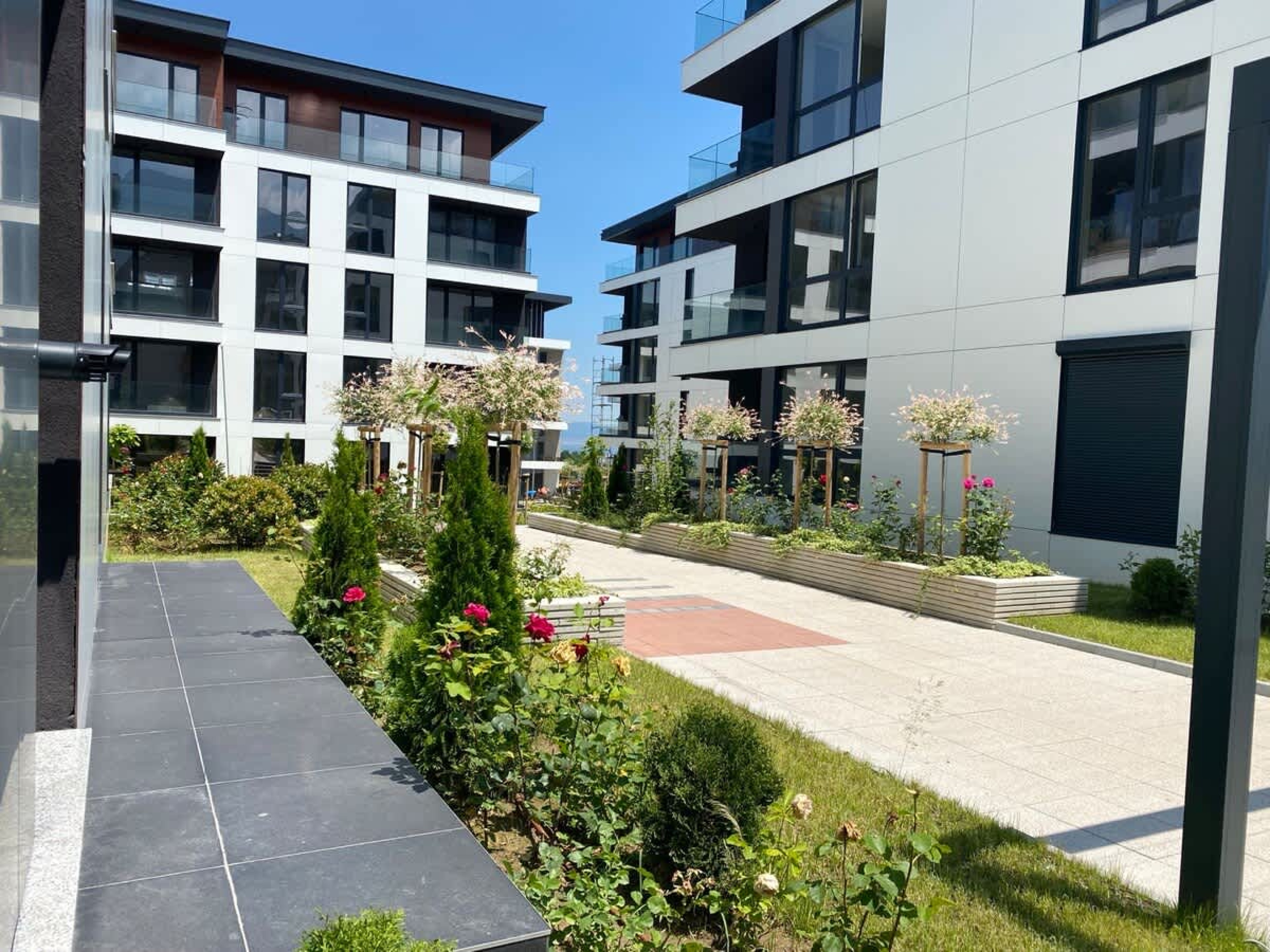 Scoutaround White Logo