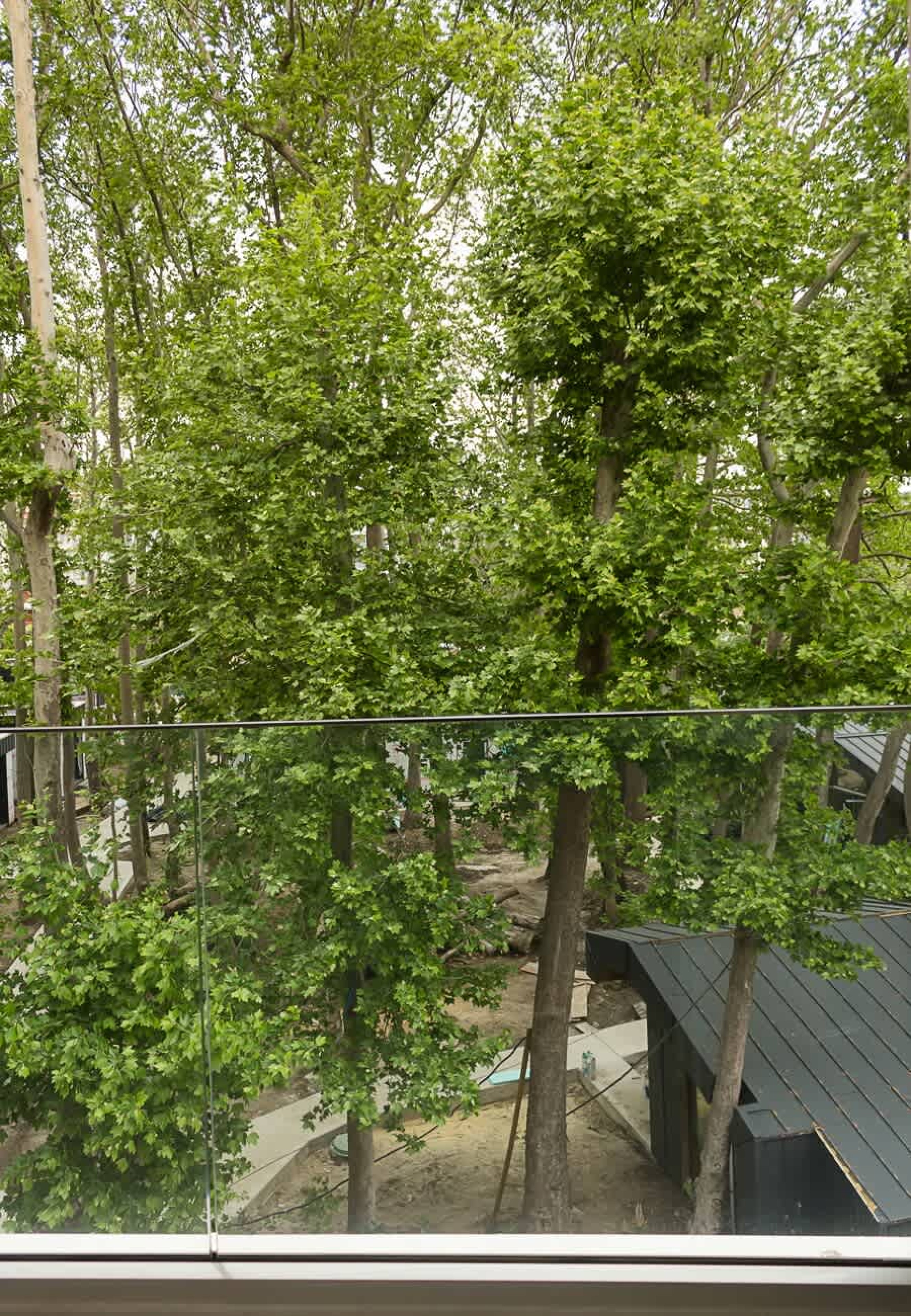 Scoutaround White Logo