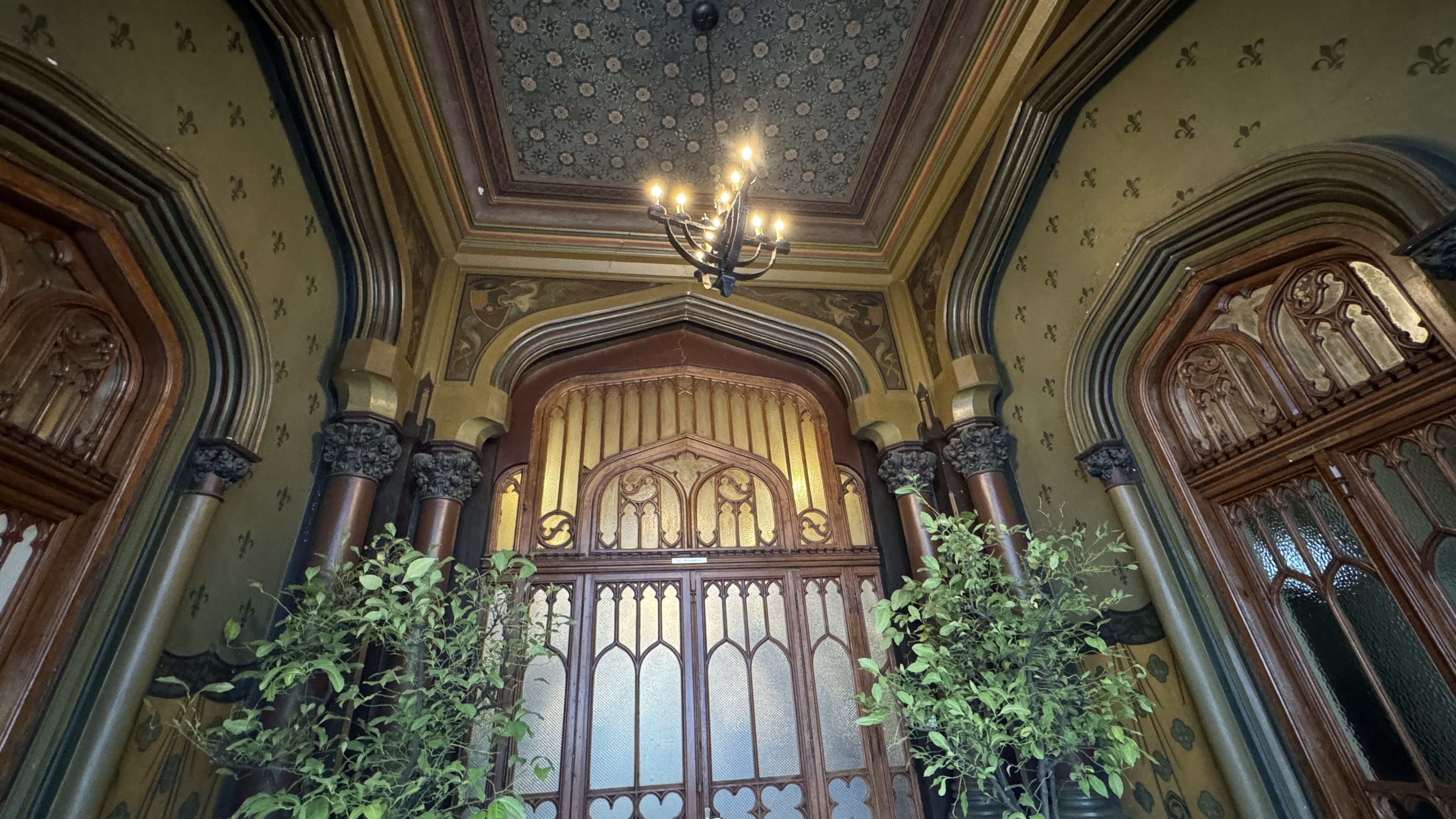 Scoutaround White Logo