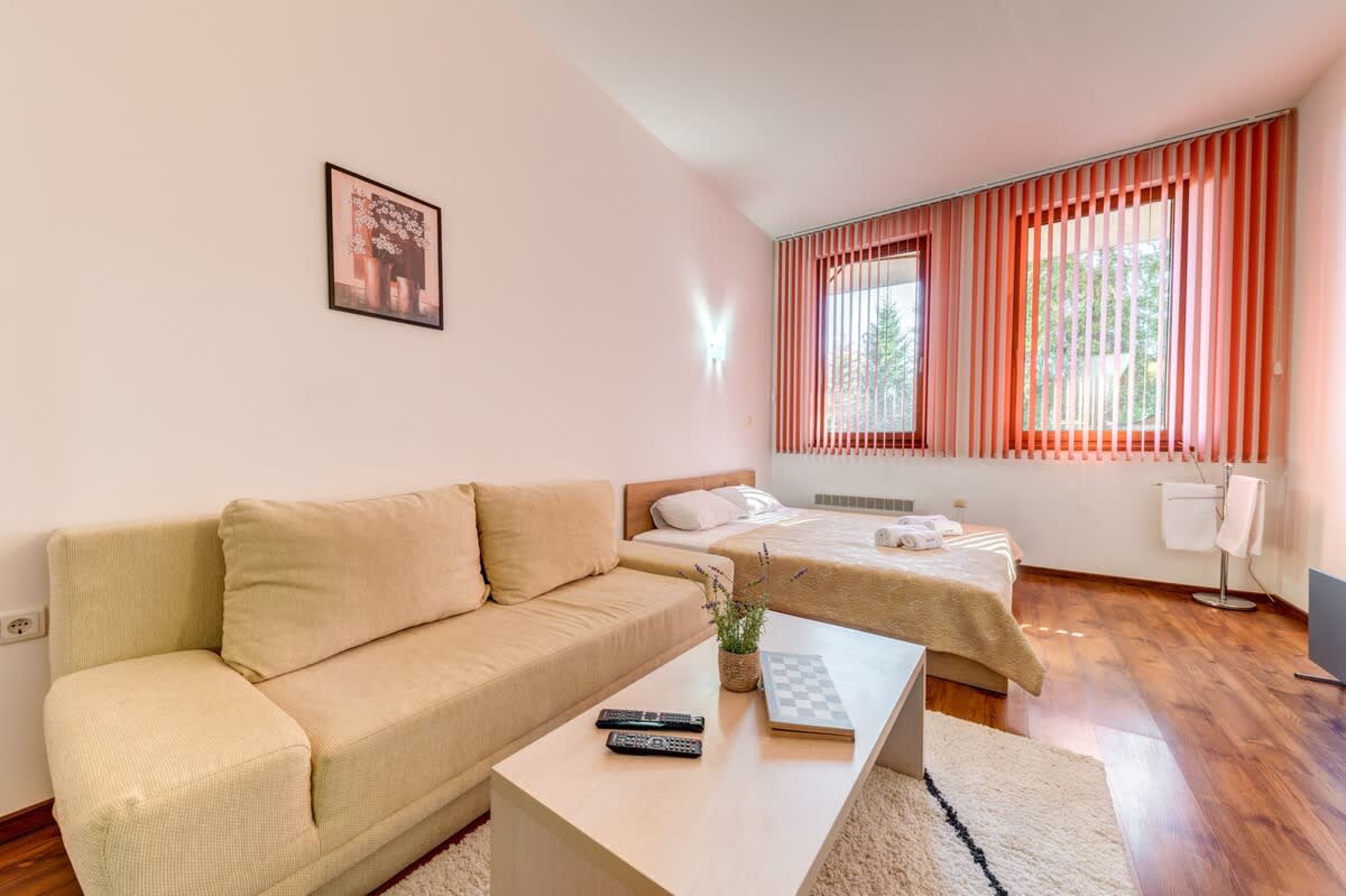 Scoutaround White Logo