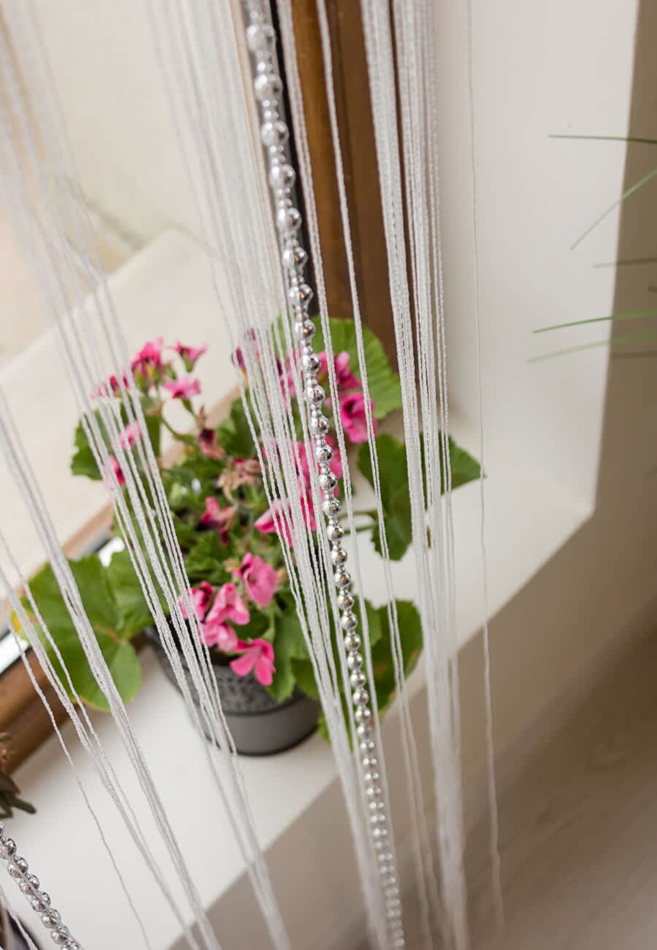 Scoutaround White Logo