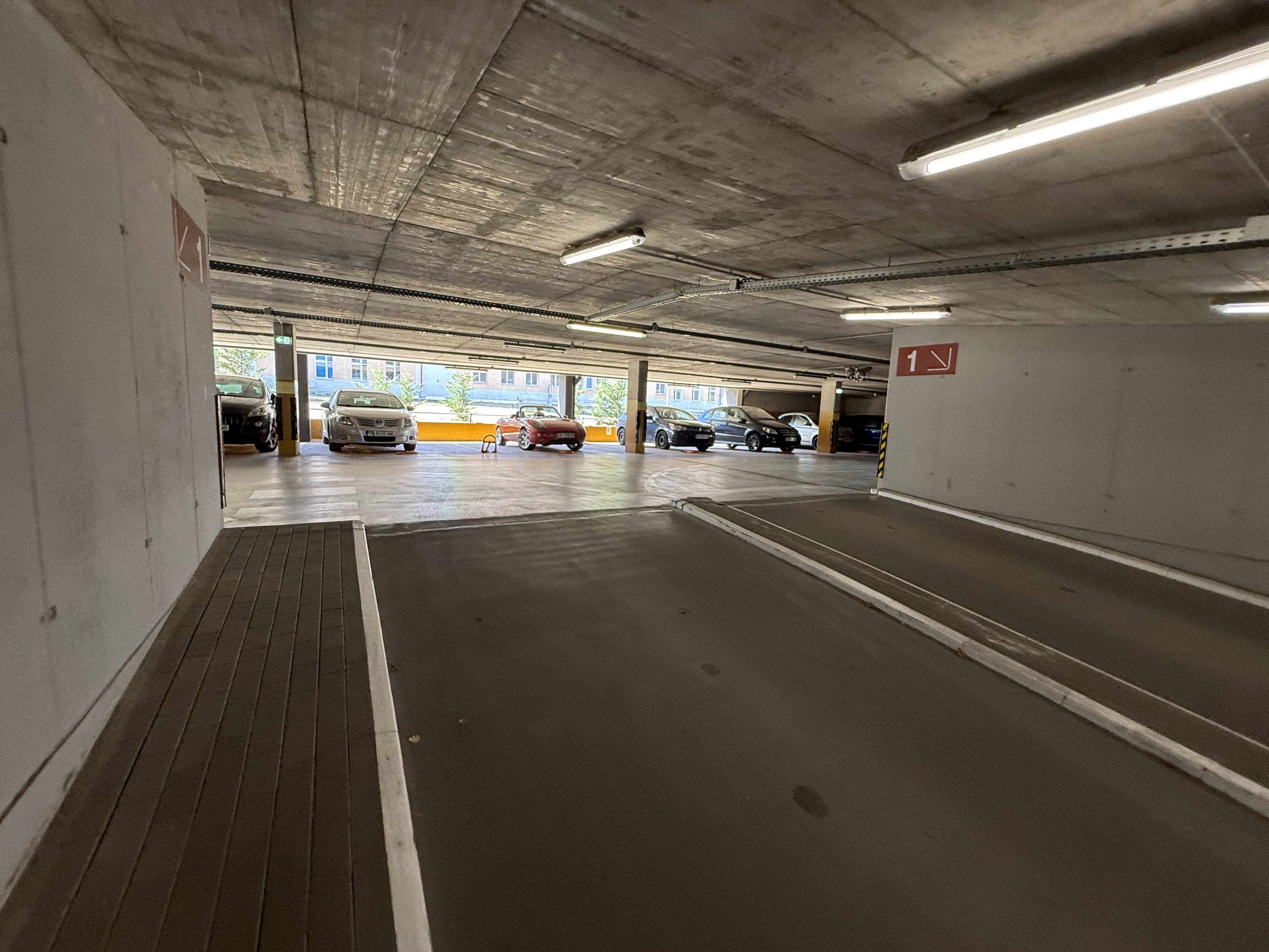 Scoutaround White Logo