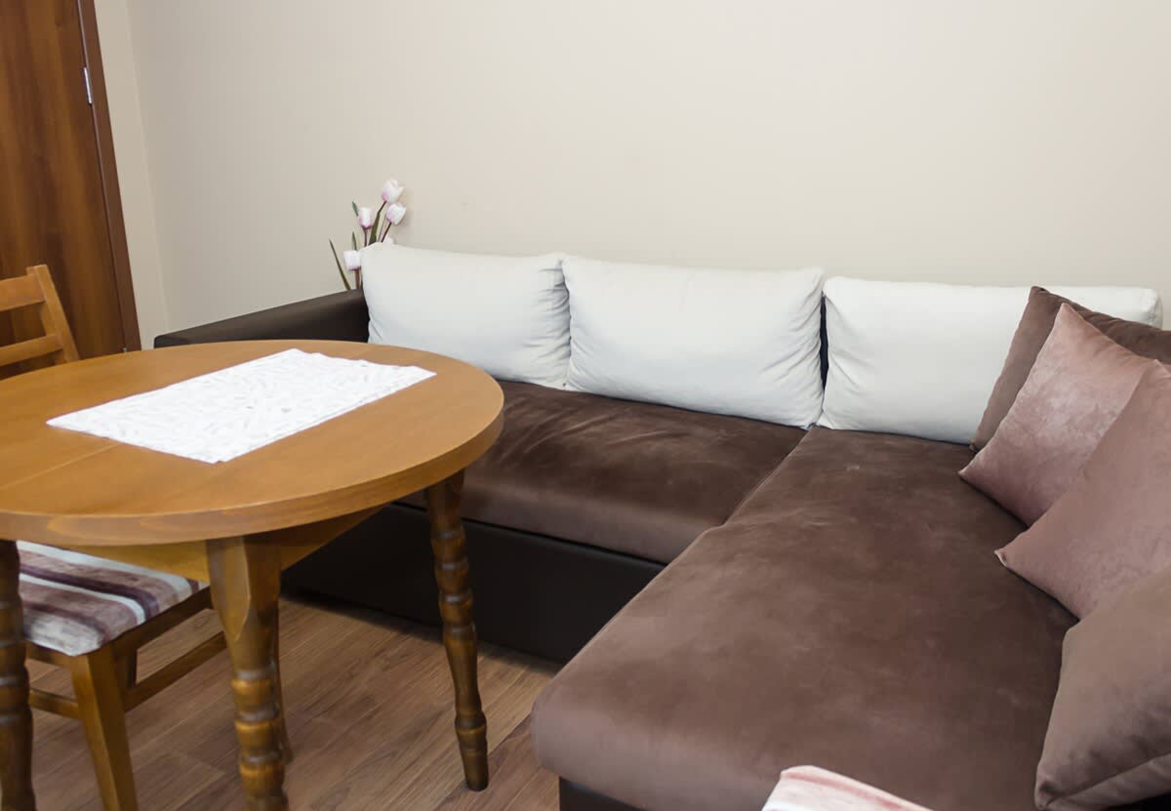 Scoutaround White Logo