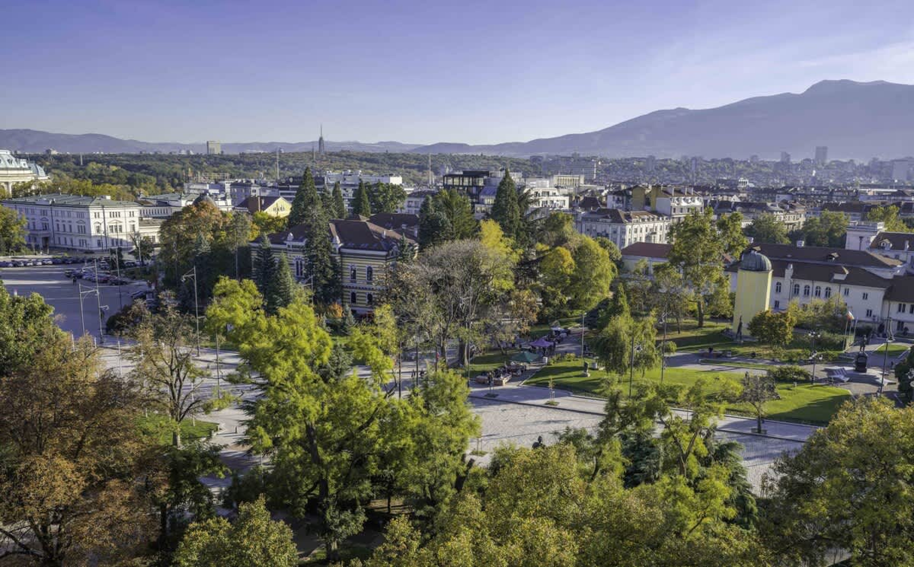 Scoutaround White Logo