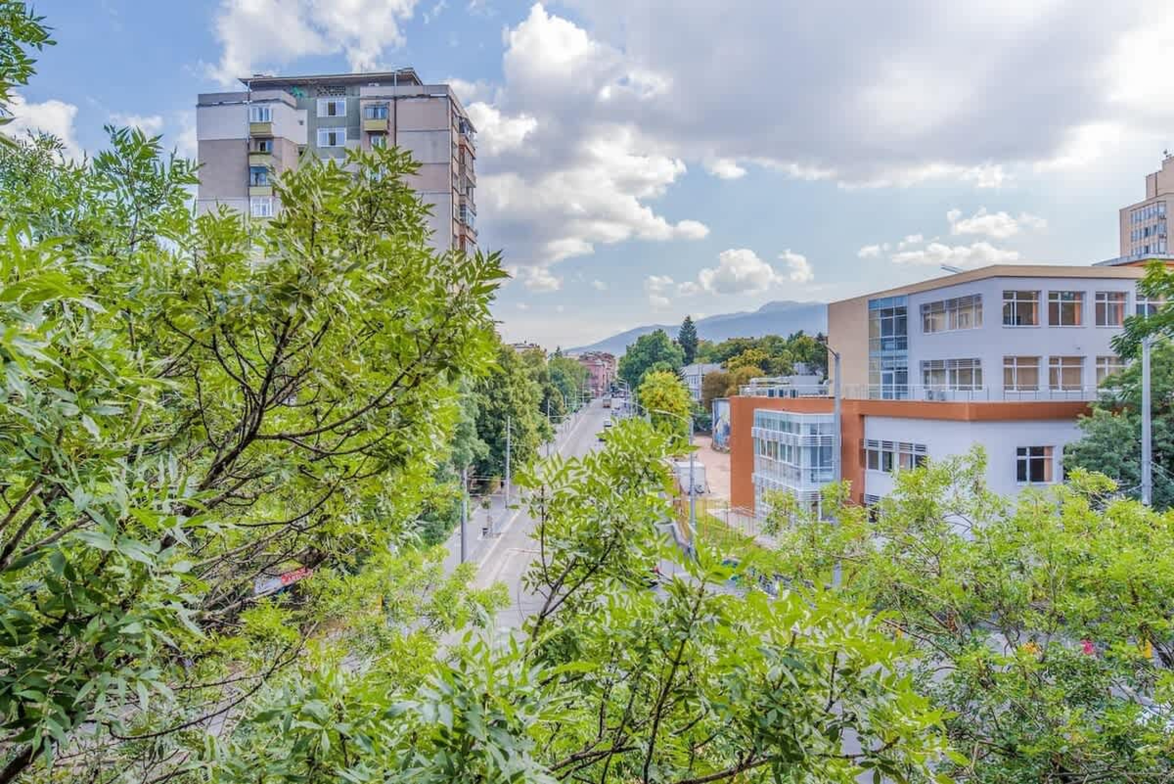 Scoutaround White Logo