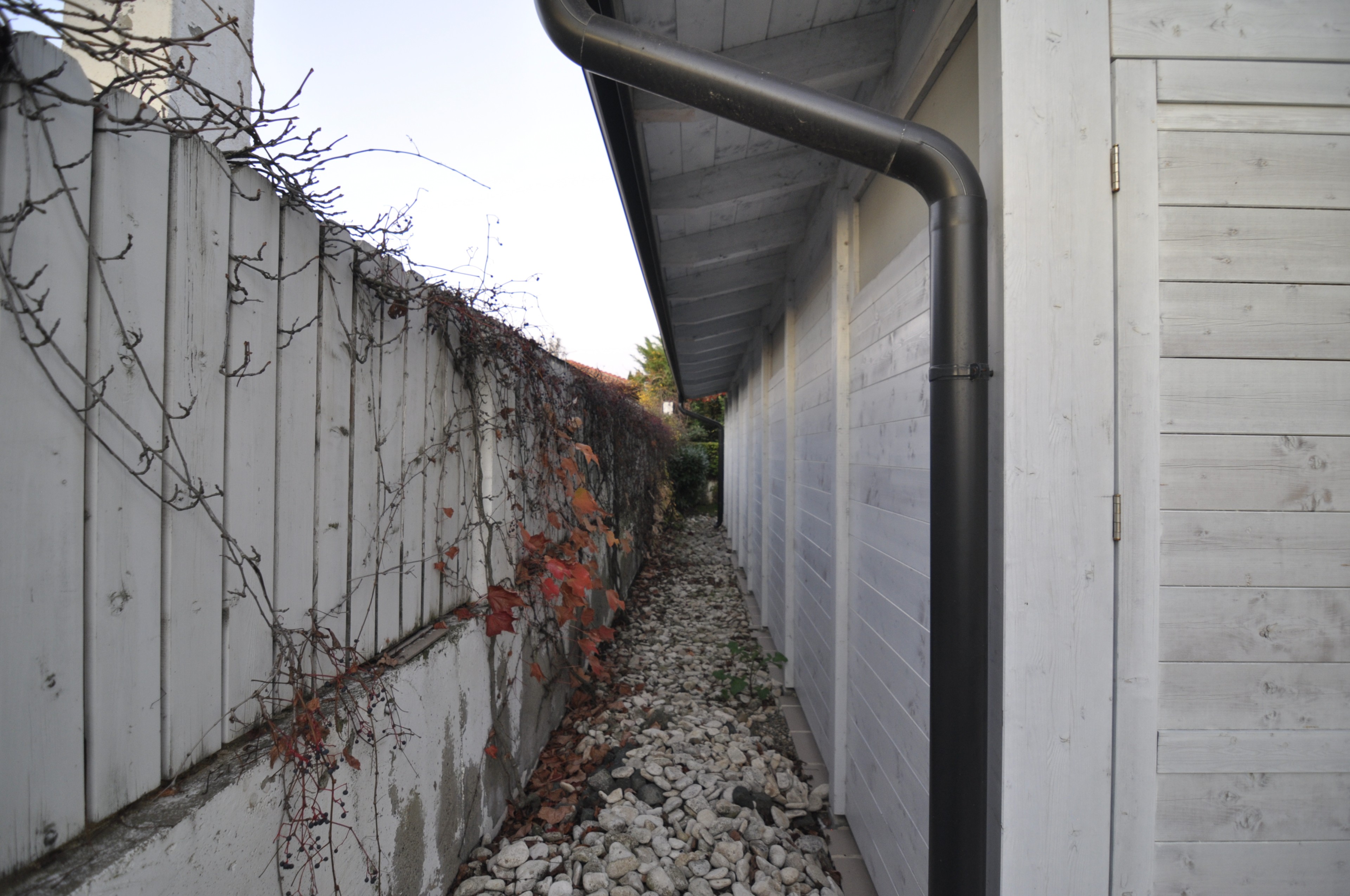 Scoutaround White Logo