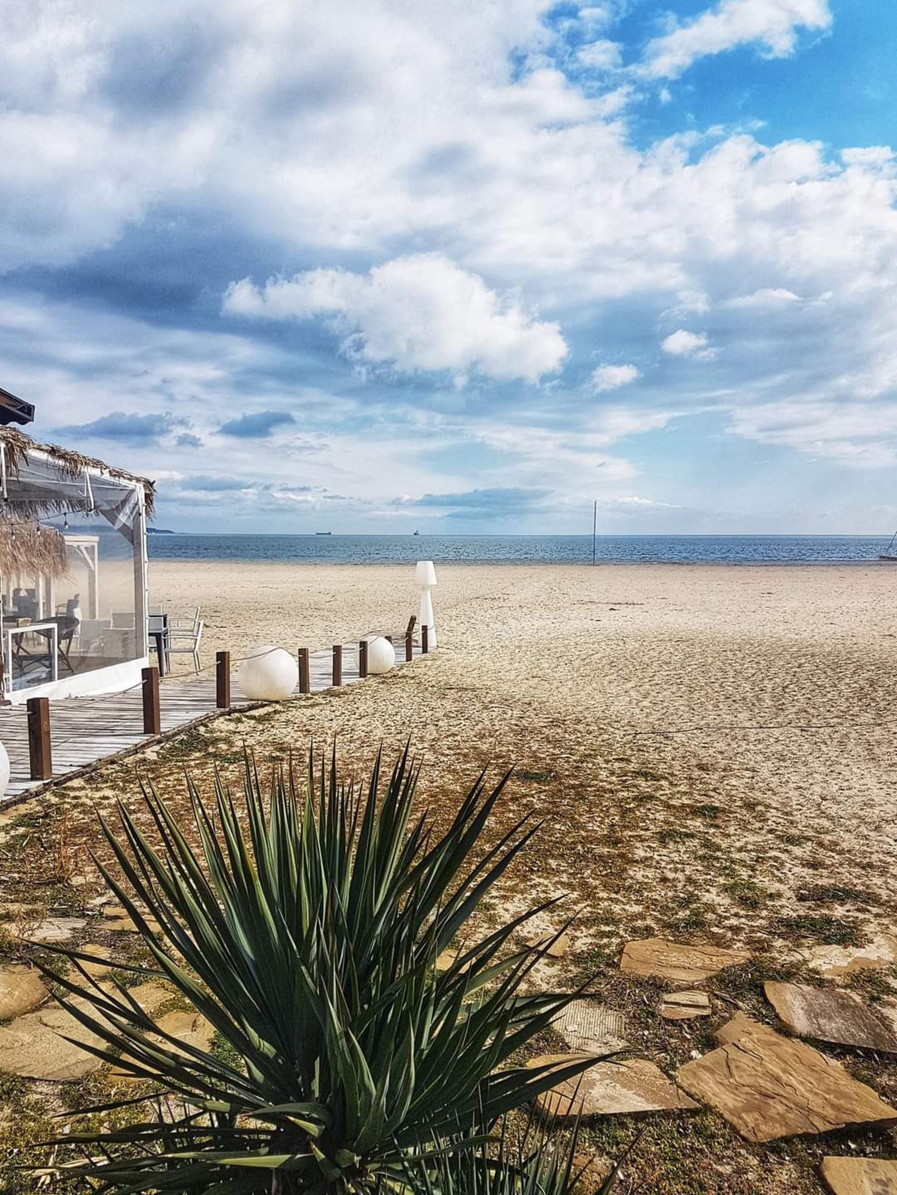 Scoutaround White Logo