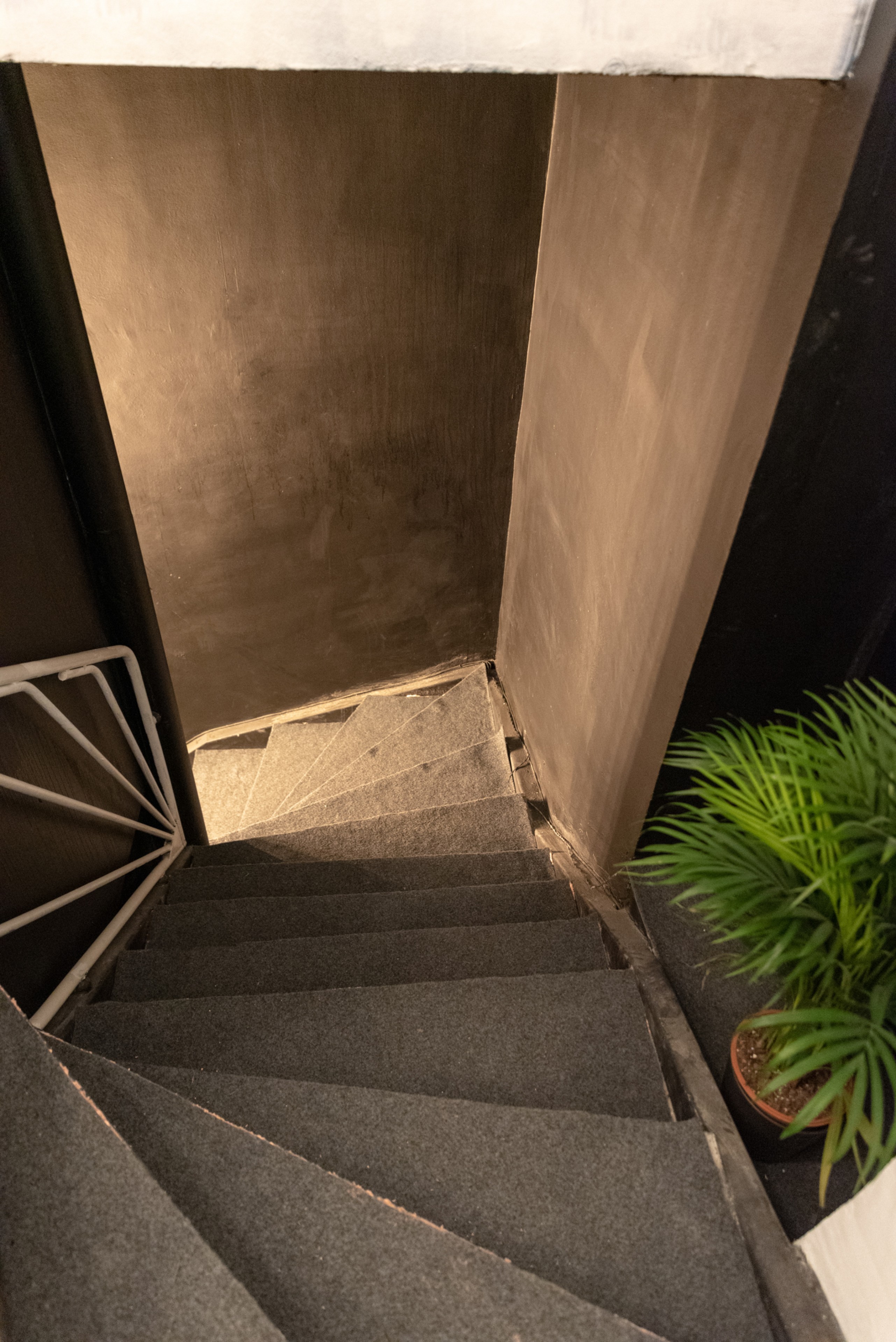 Scoutaround White Logo