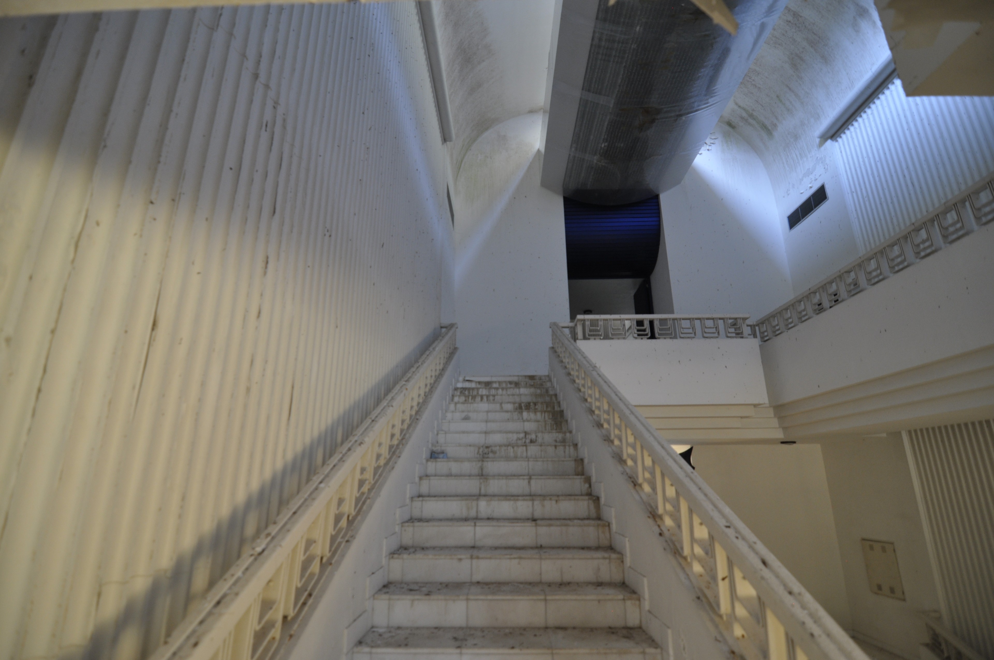 Scoutaround White Logo