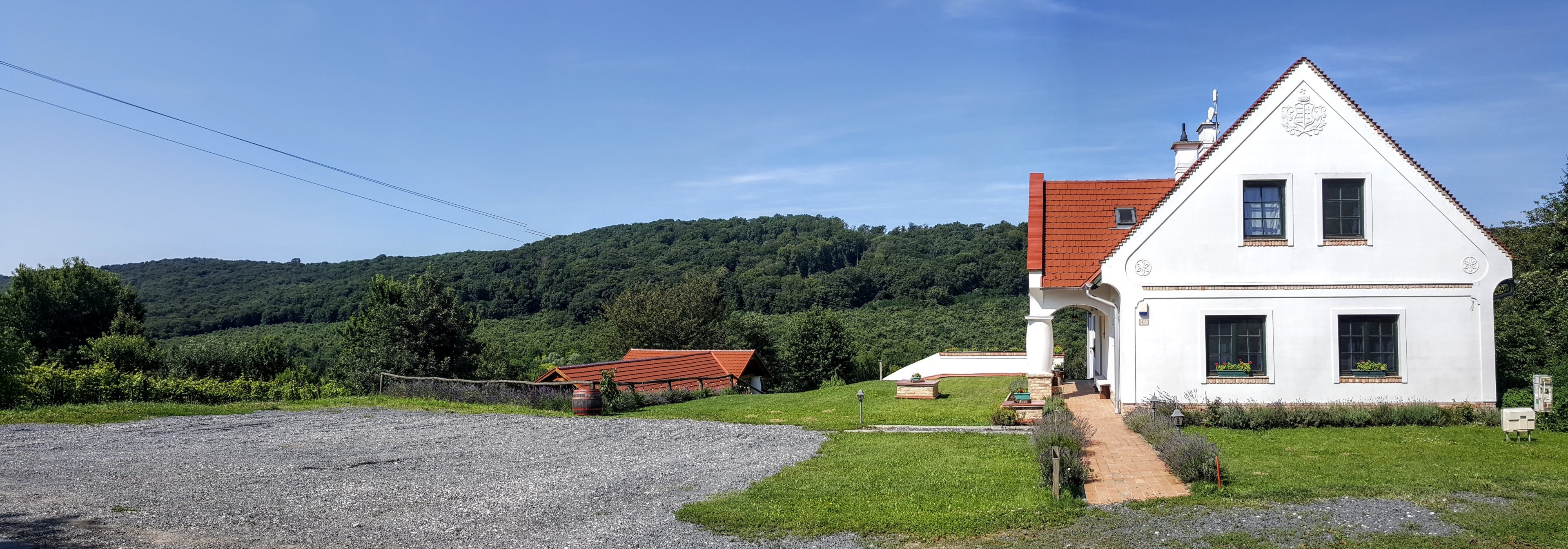 Scoutaround White Logo