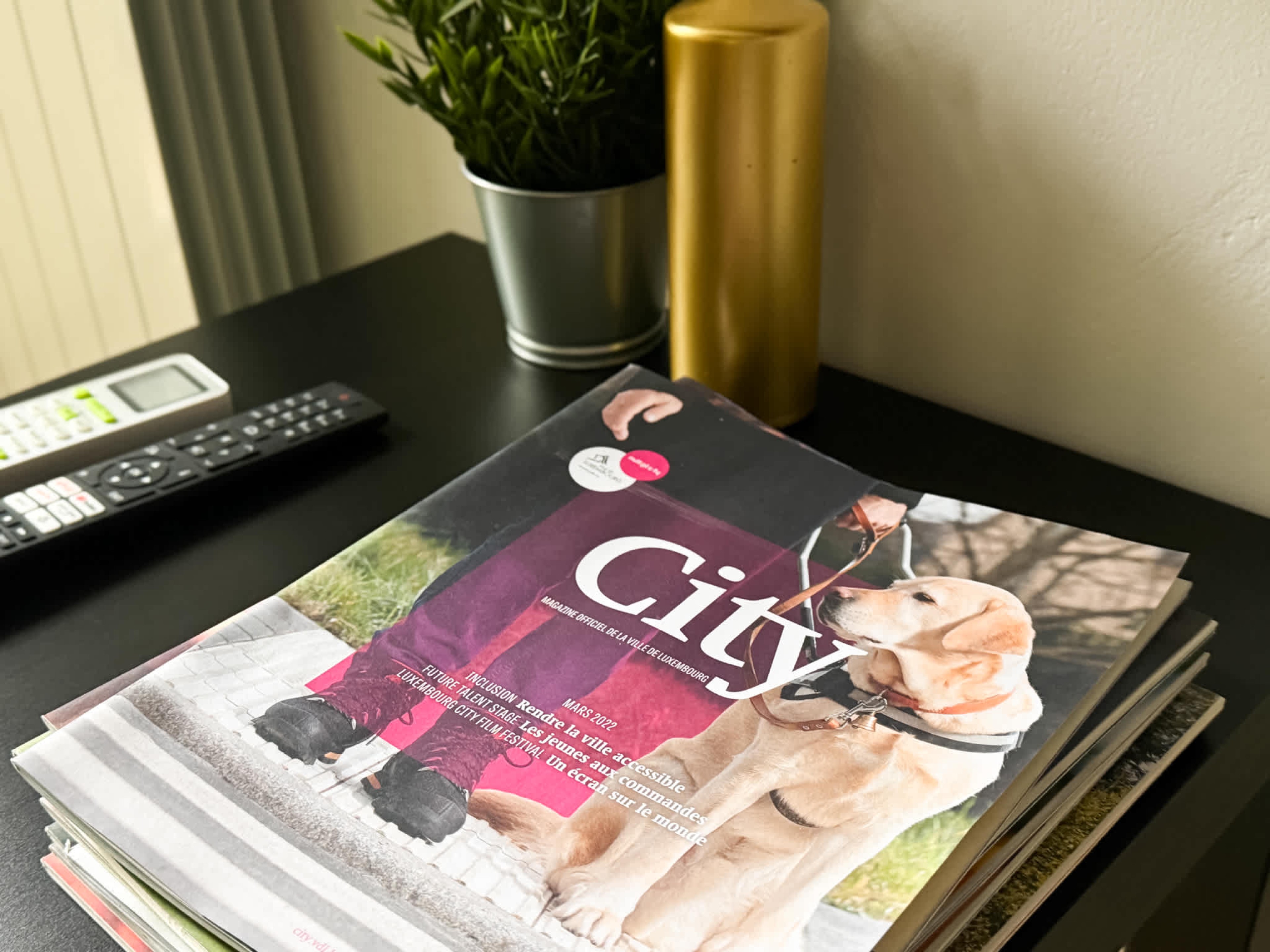 Cozy Central 1BD Apartment - Photo 16