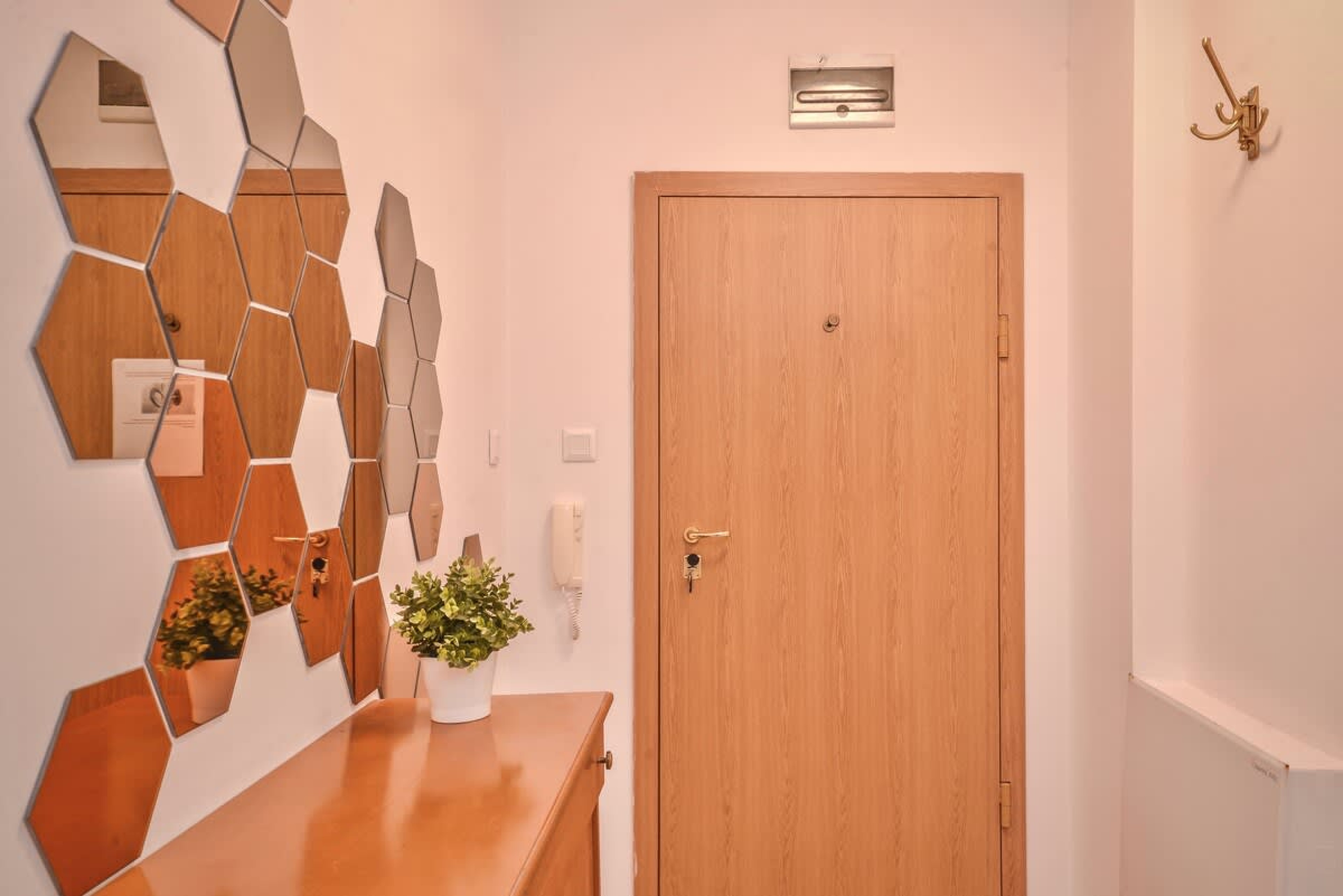 Scoutaround White Logo