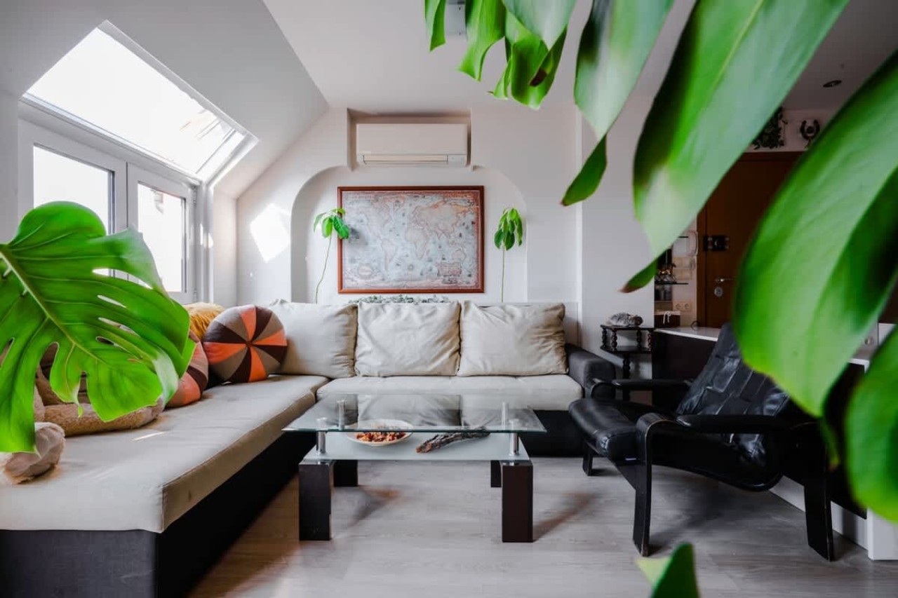 Scoutaround White Logo