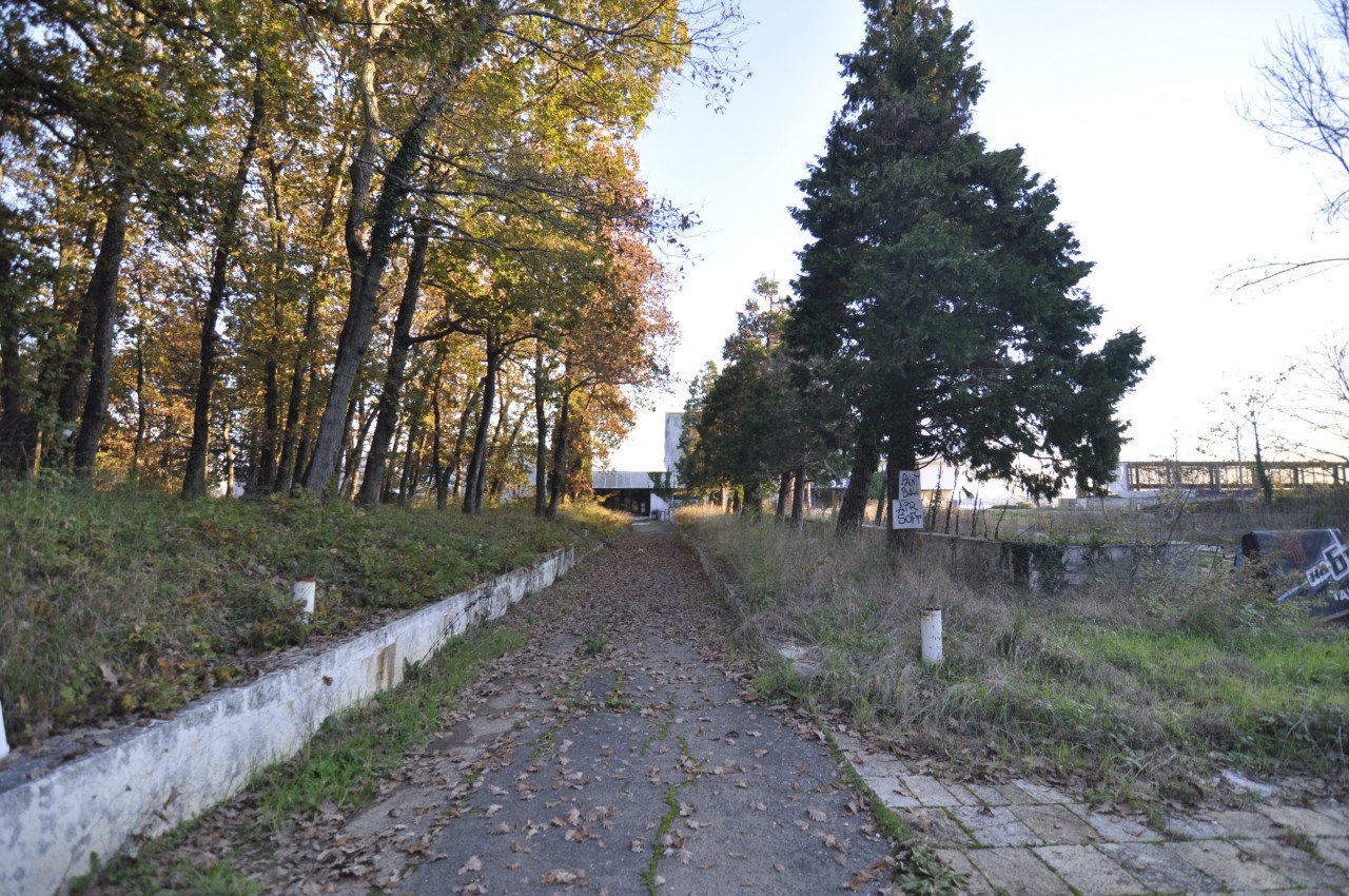 Scoutaround White Logo