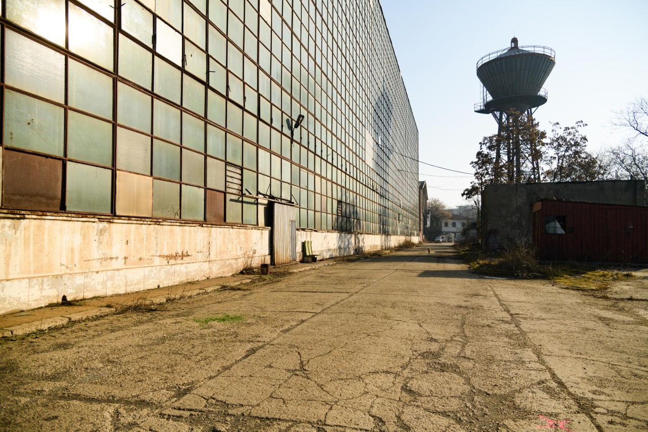 Scoutaround White Logo