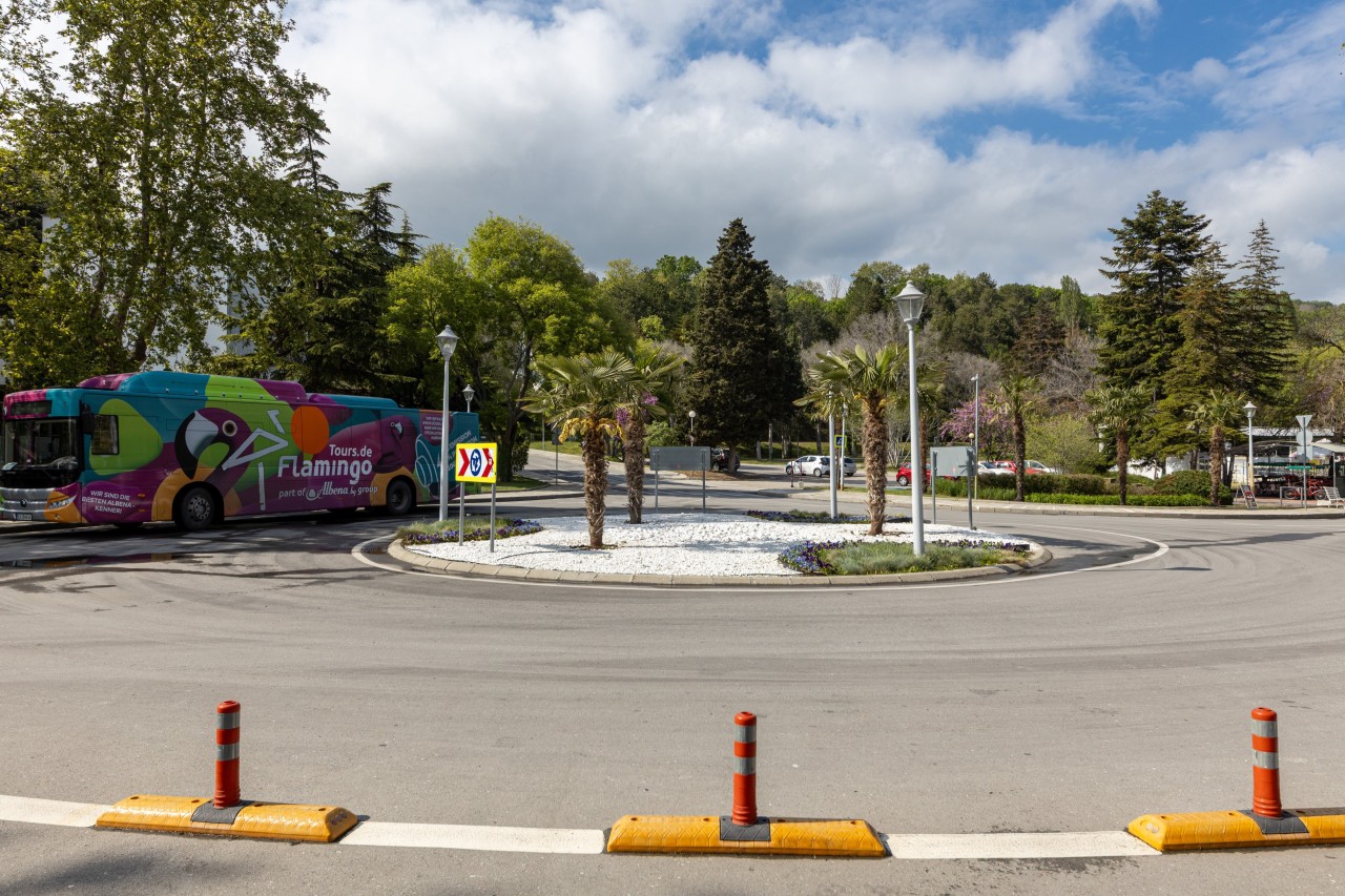 Scoutaround White Logo