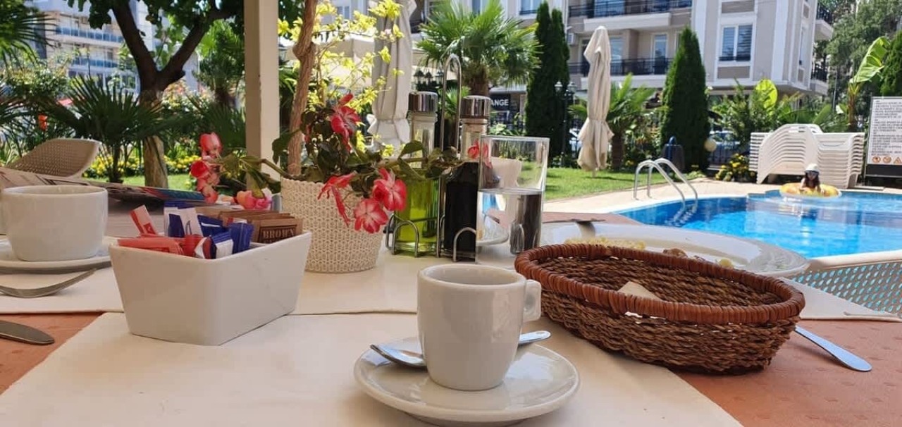 Scoutaround White Logo