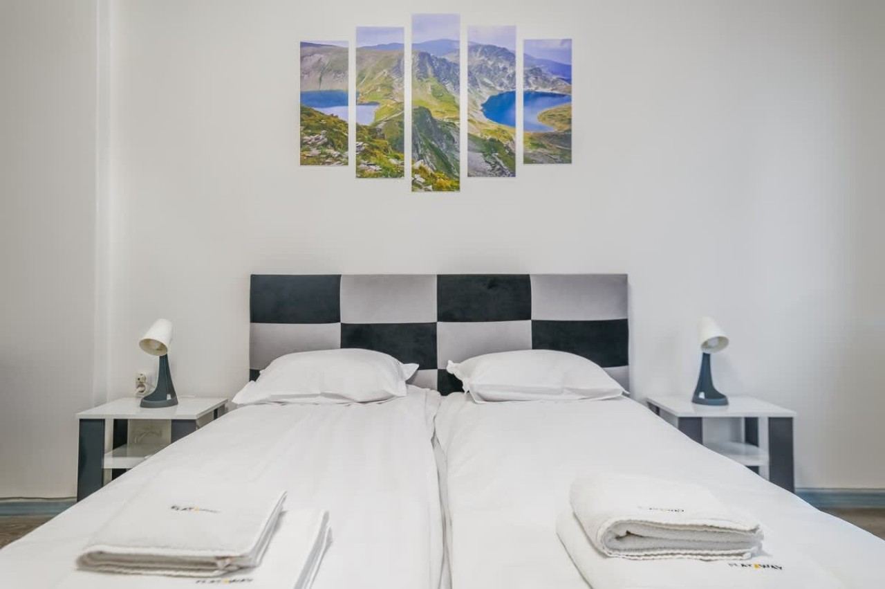 Scoutaround White Logo