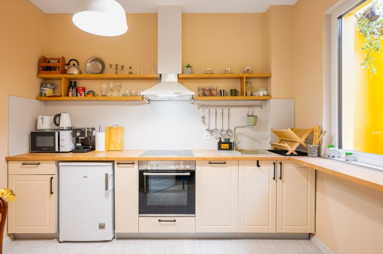 Scoutaround White Logo