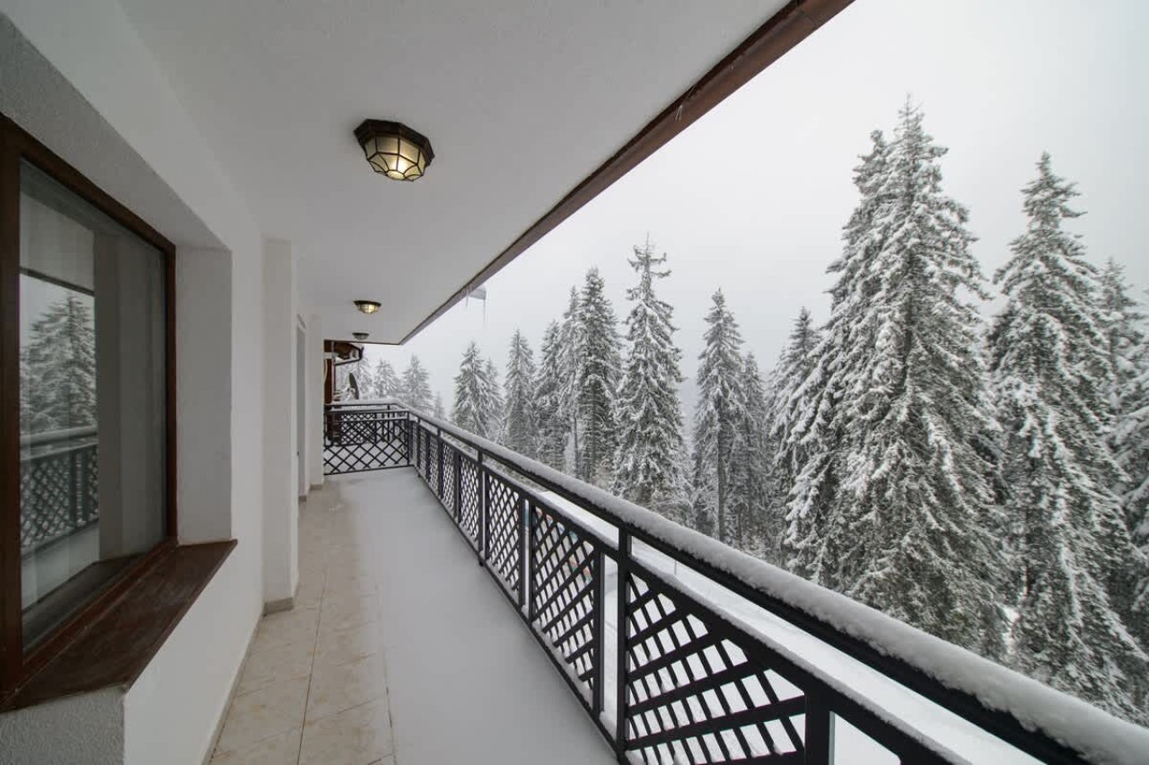 Colors of Nature in Stylish Flat in Pamporovo - Photo 3