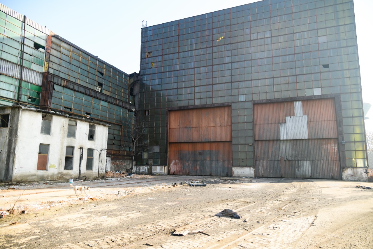 Scoutaround White Logo