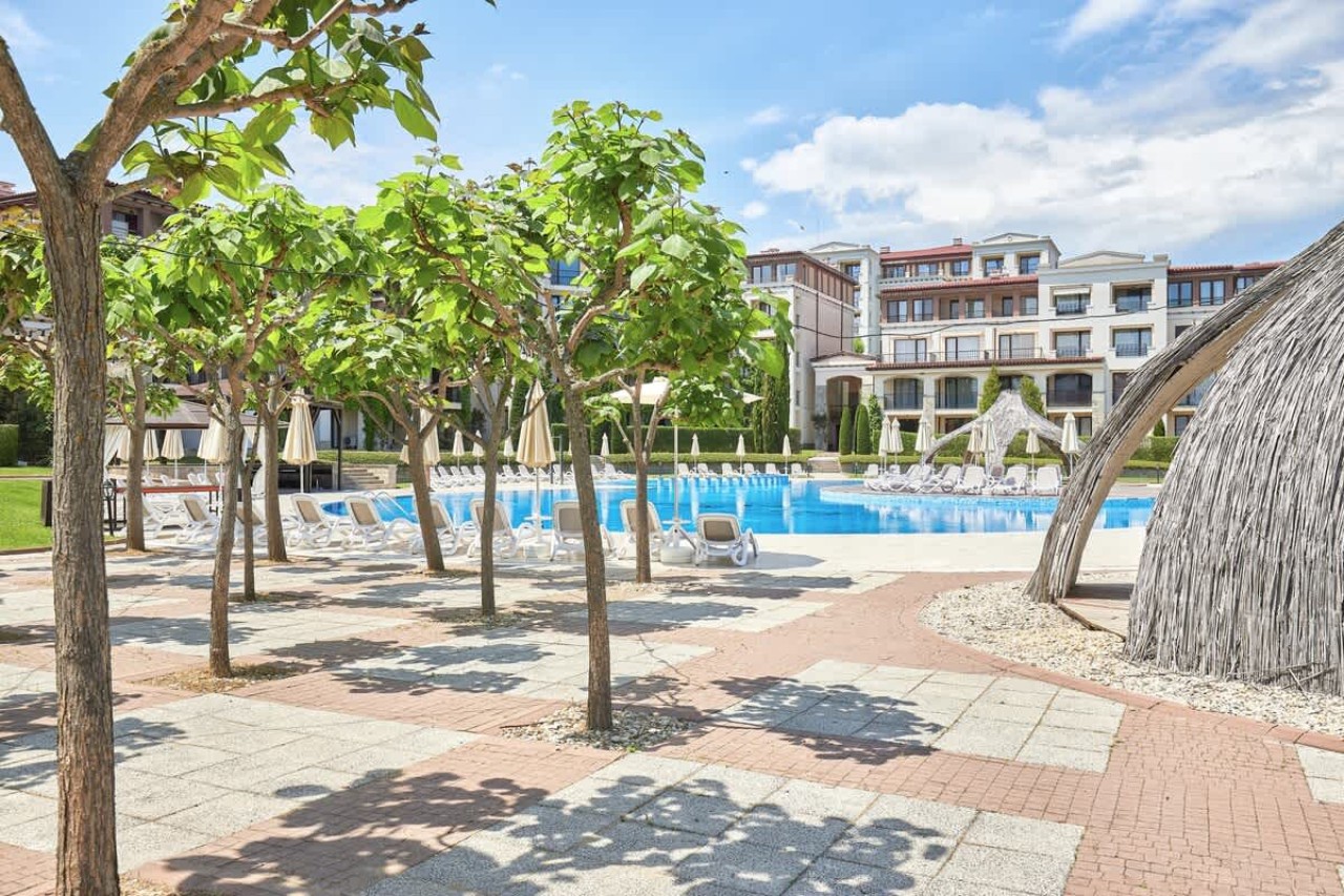 Scoutaround White Logo