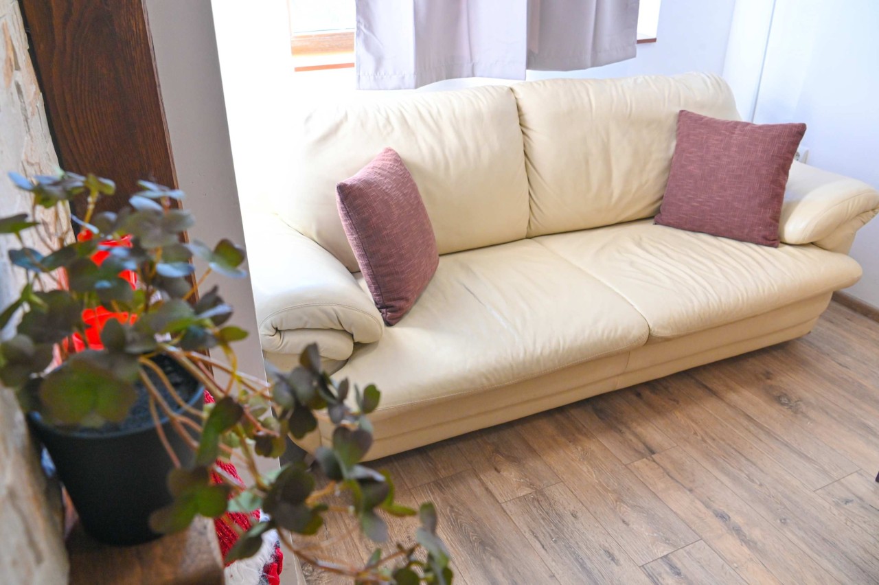 Scoutaround White Logo