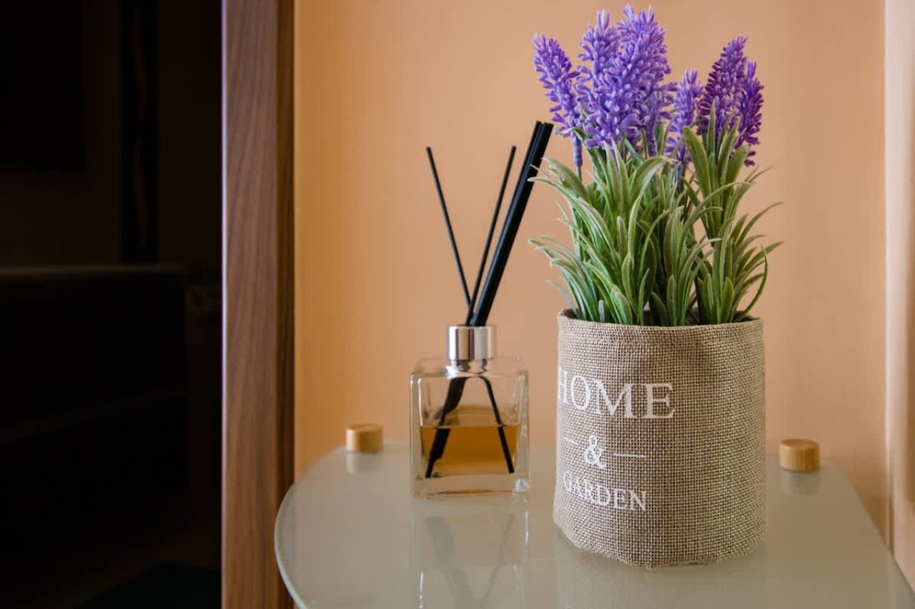 Scoutaround White Logo