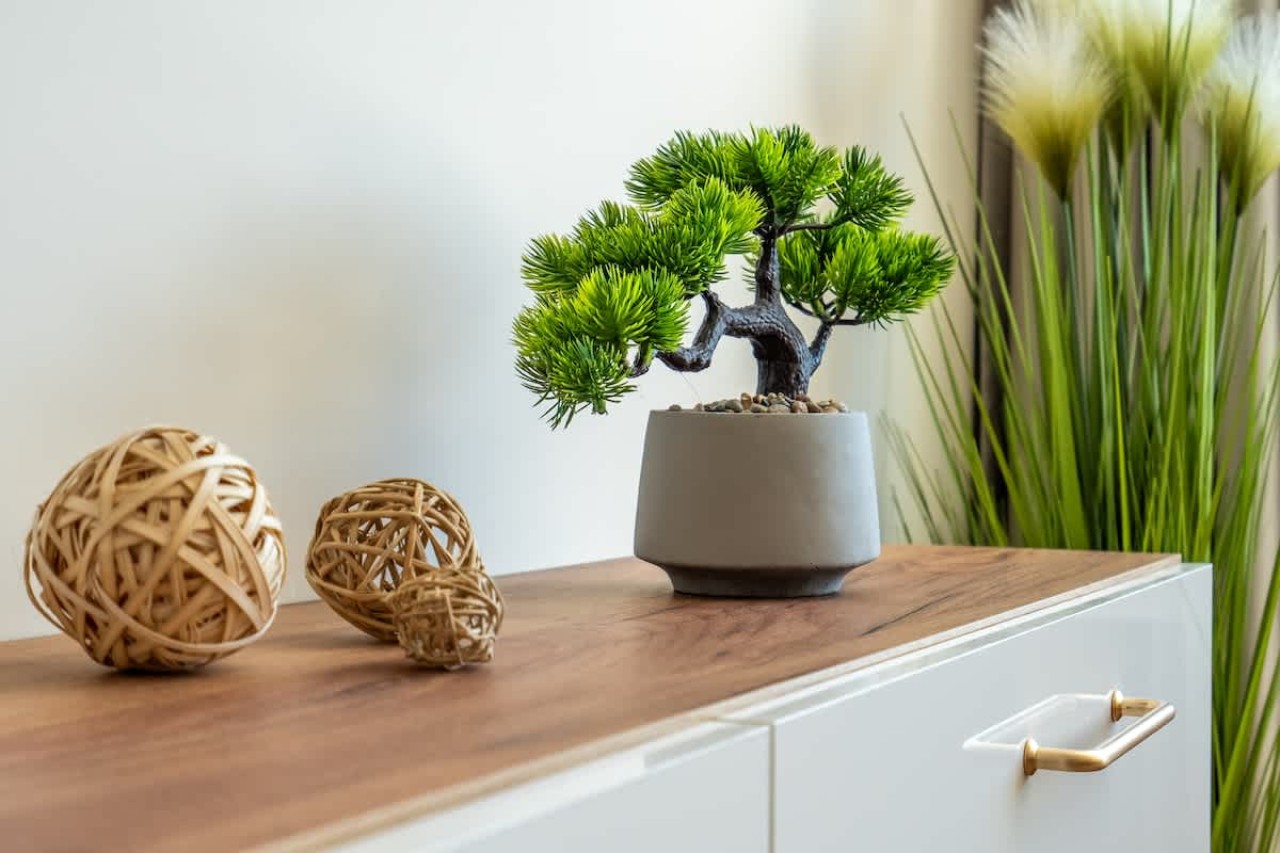 Scoutaround White Logo