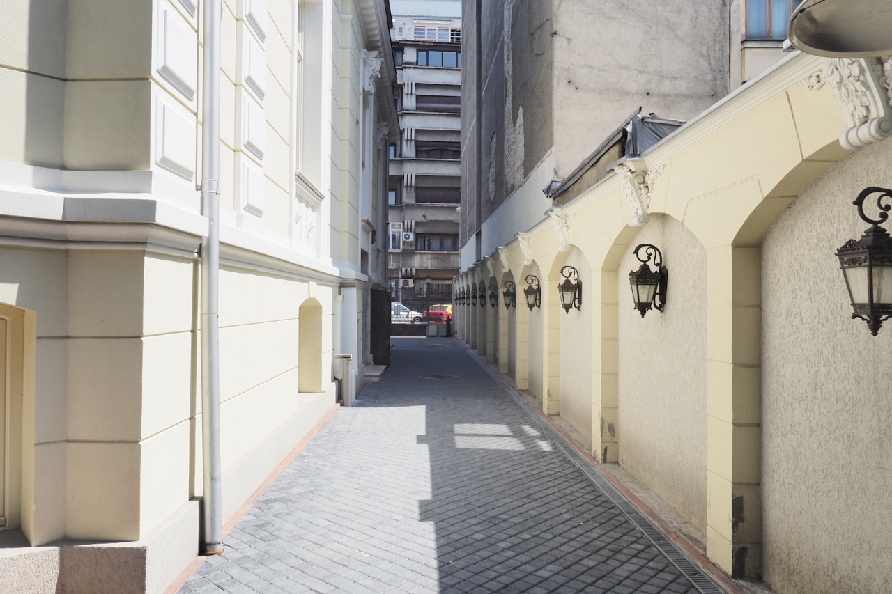 Scoutaround White Logo