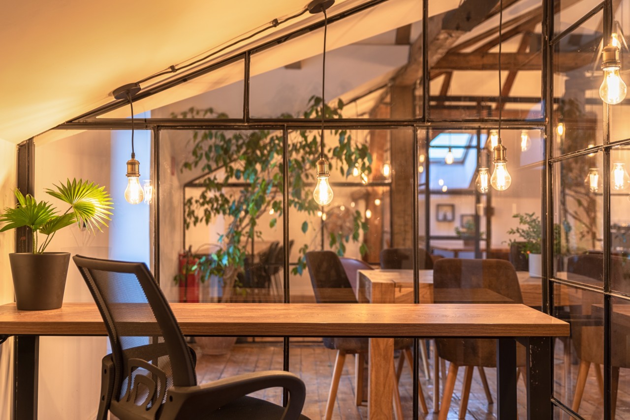 Scoutaround White Logo