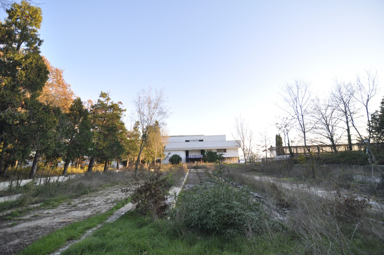 Scoutaround White Logo