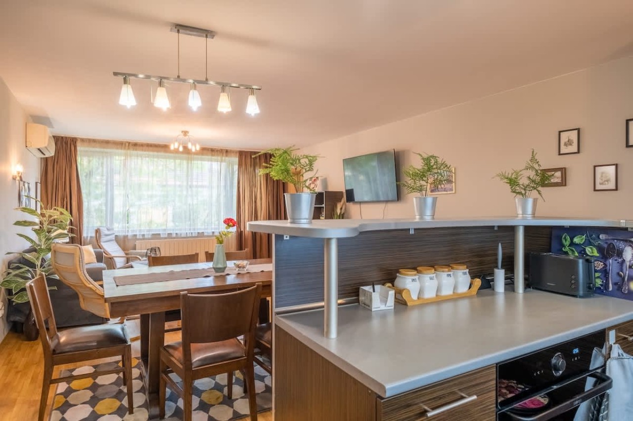 Scoutaround White Logo