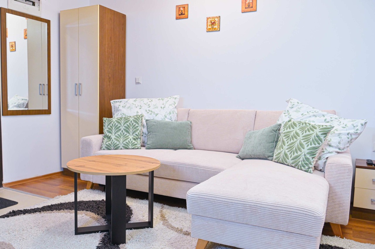 Scoutaround White Logo