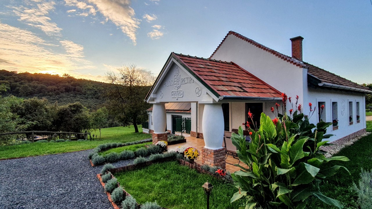 Scoutaround White Logo