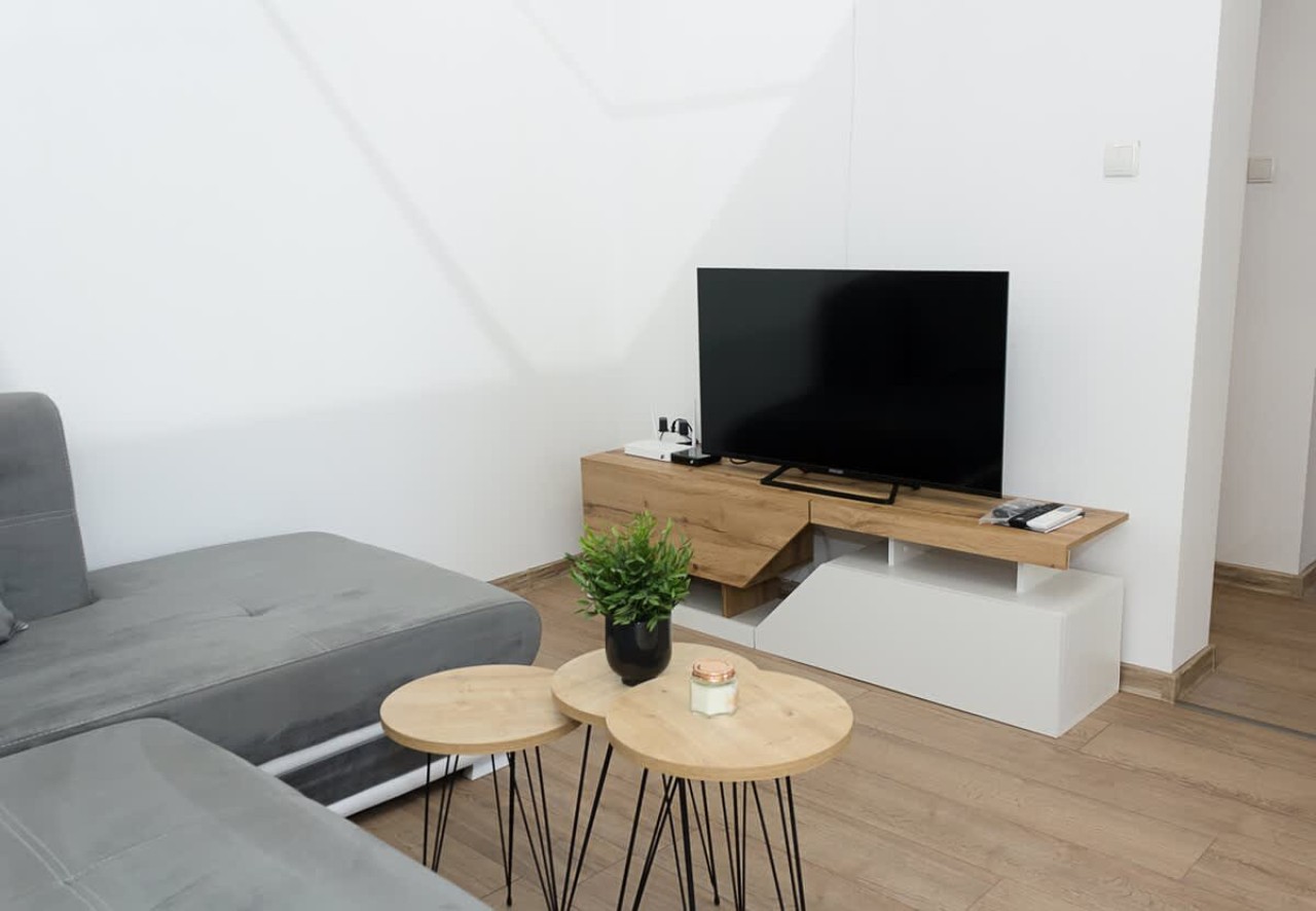 Scoutaround White Logo