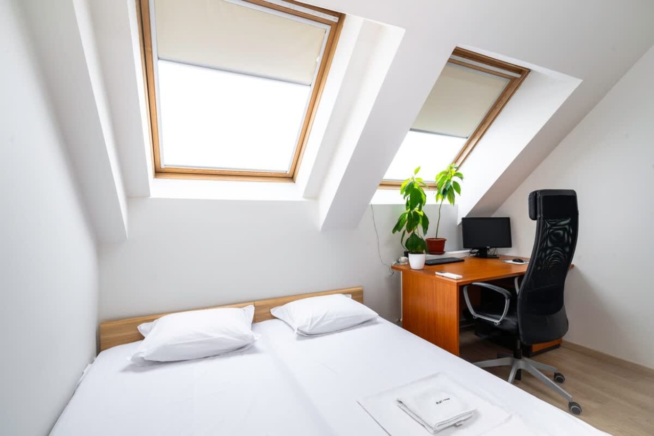 Scoutaround White Logo