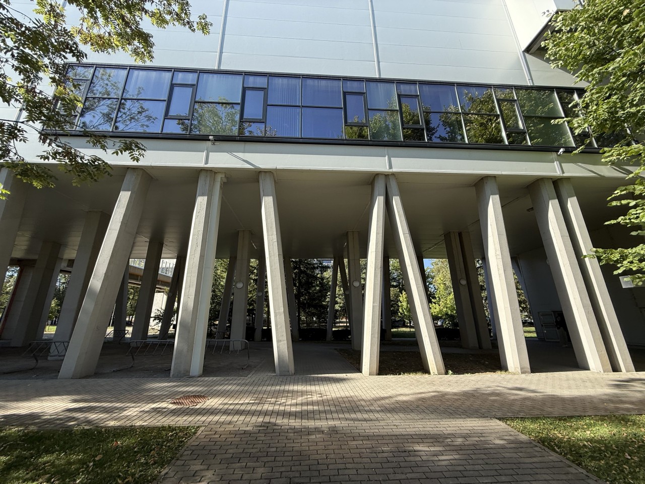 Scoutaround White Logo