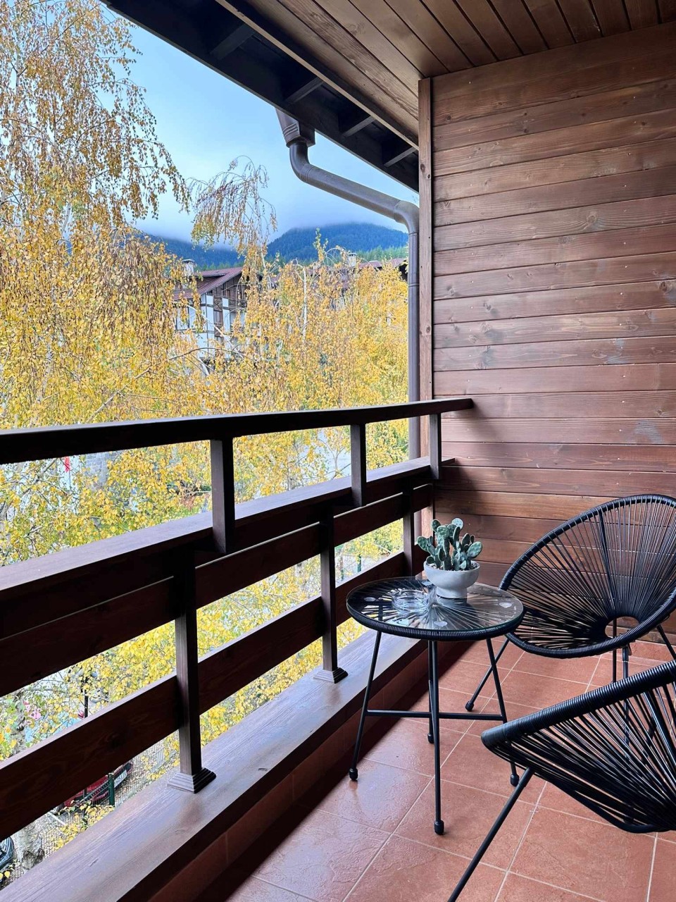 Scoutaround White Logo