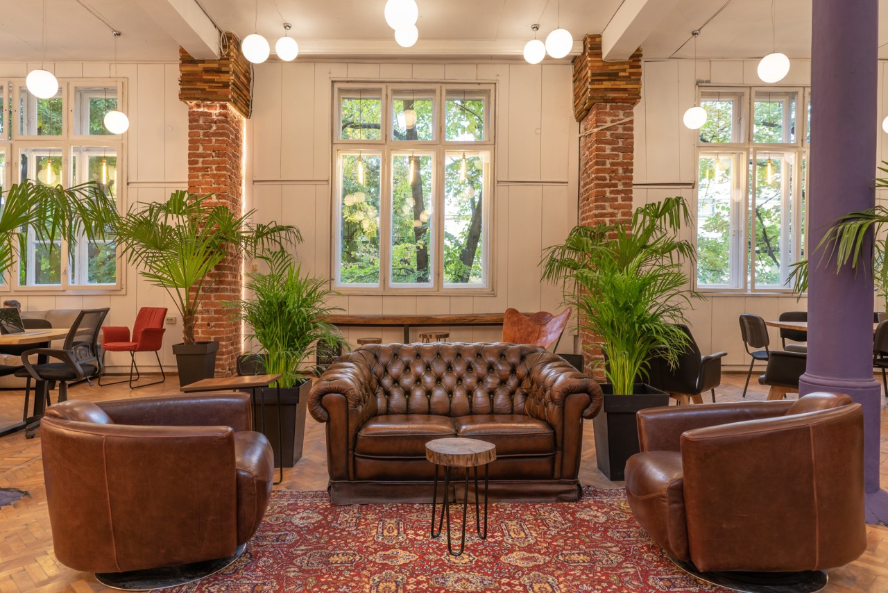 Scoutaround White Logo