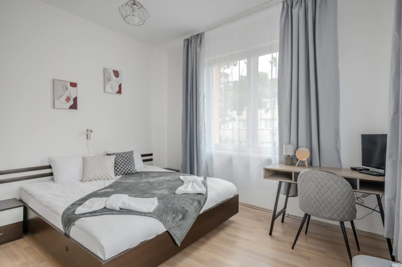 Scoutaround White Logo