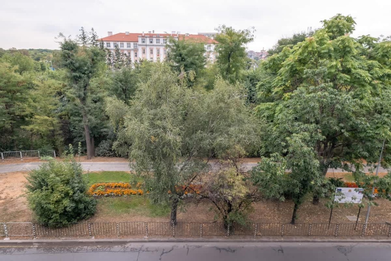 Scoutaround White Logo