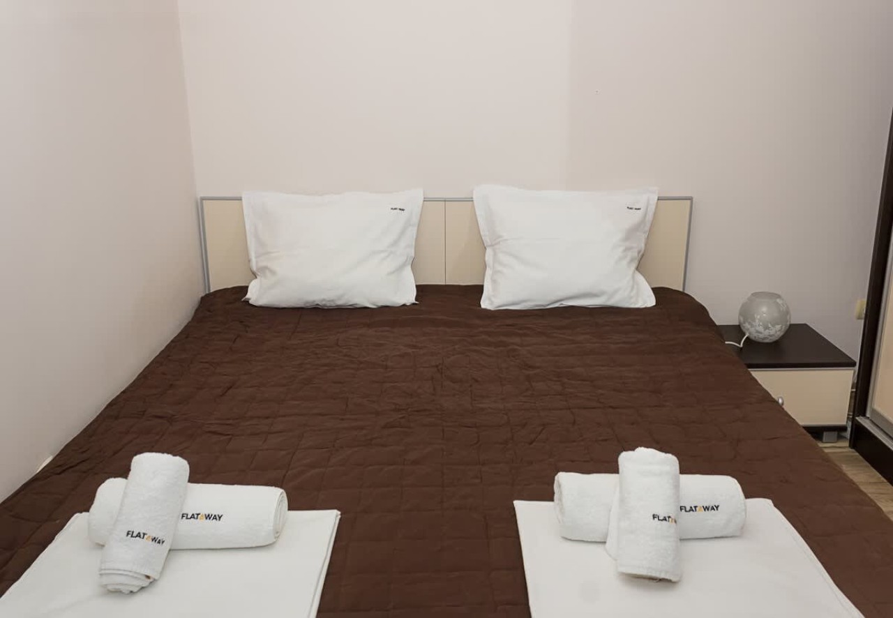 Scoutaround White Logo