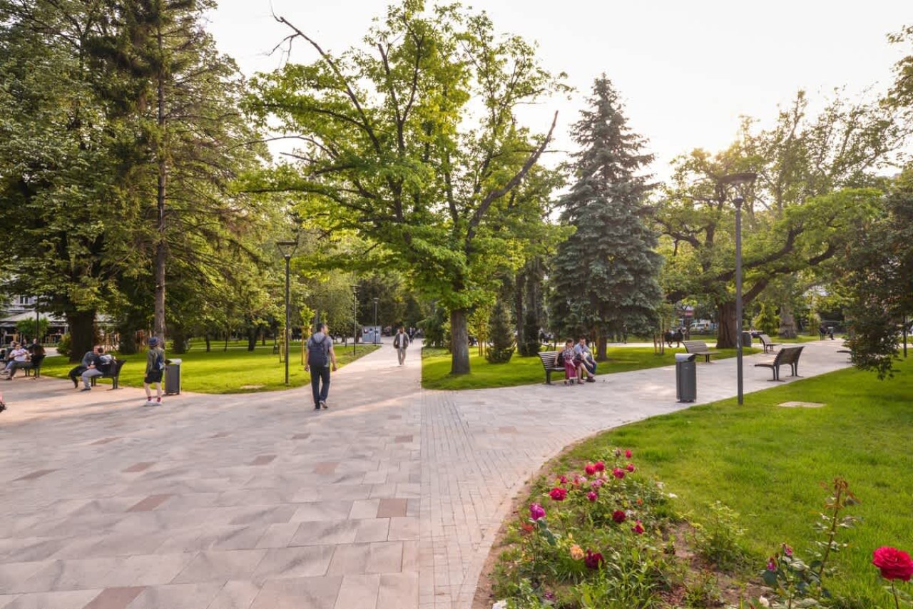 Scoutaround White Logo