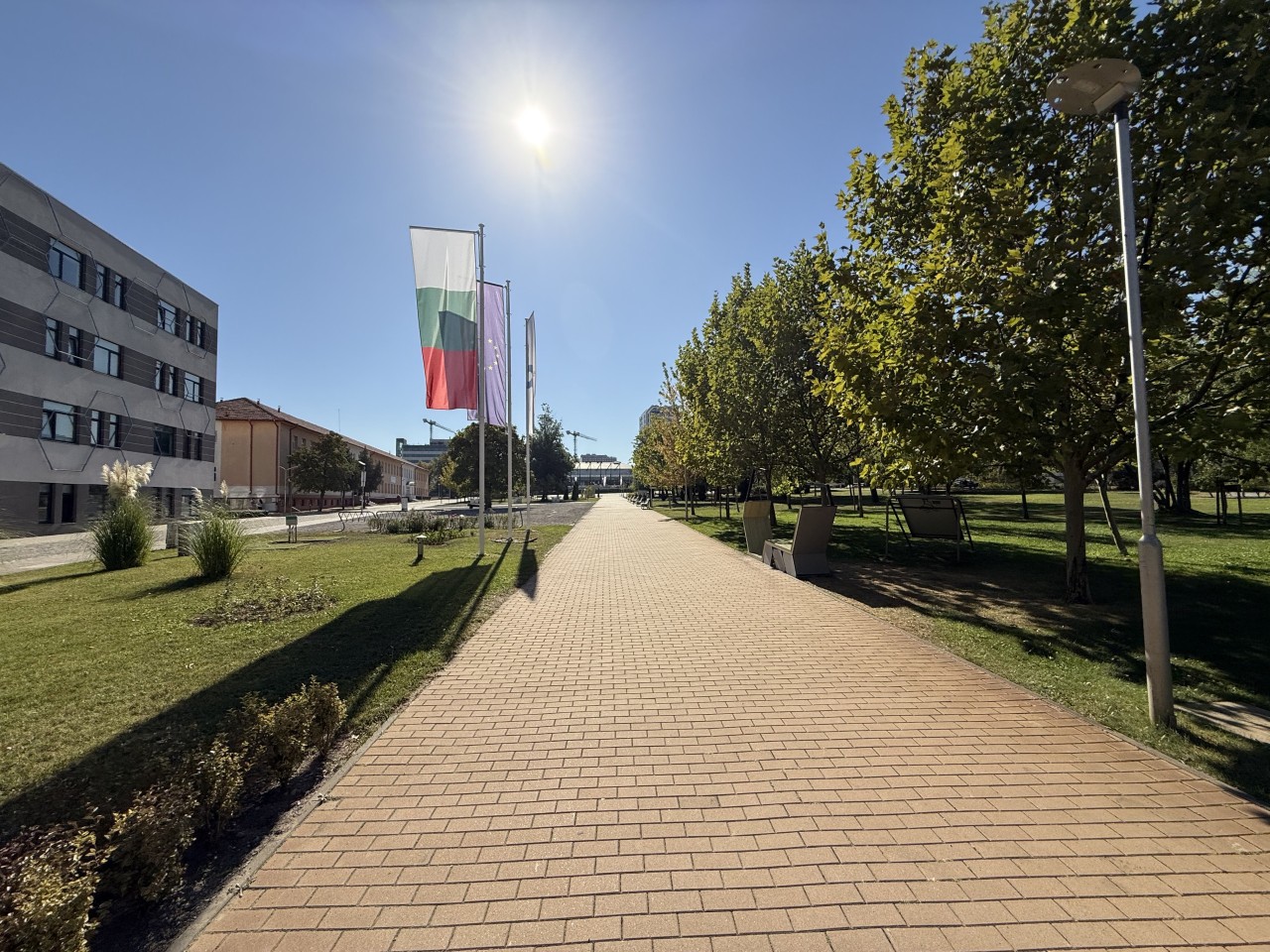 Scoutaround White Logo