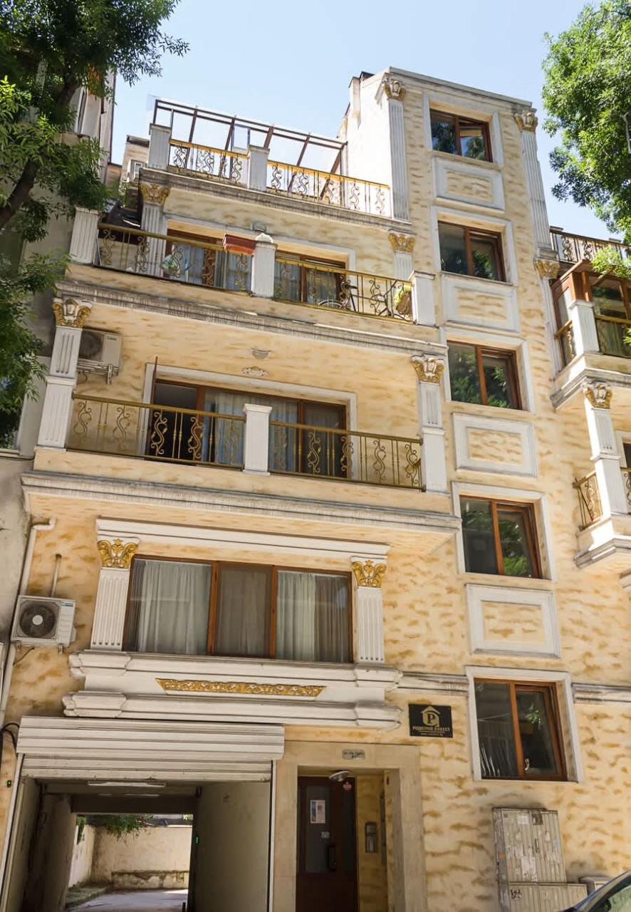 Scoutaround White Logo