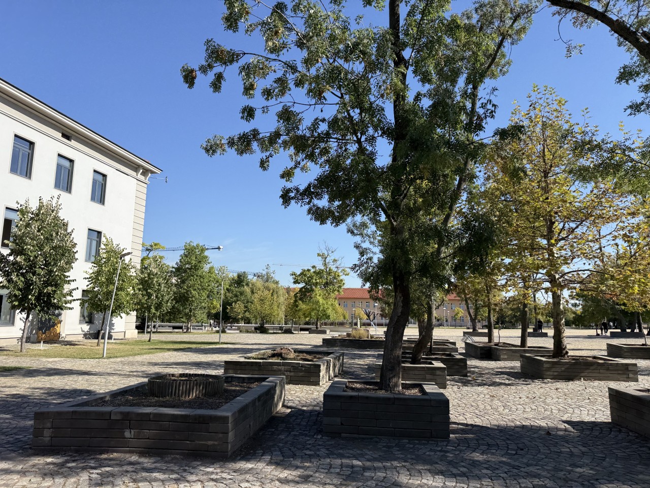 Scoutaround White Logo